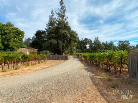 1180 Monticello Road Napa, CA 94558 - Photo 63 of 68