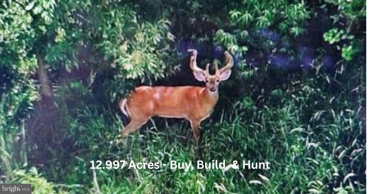 Eleys Ford Road Lignum, VA 22726 - Photo 1 of 1 Gallery Image 1