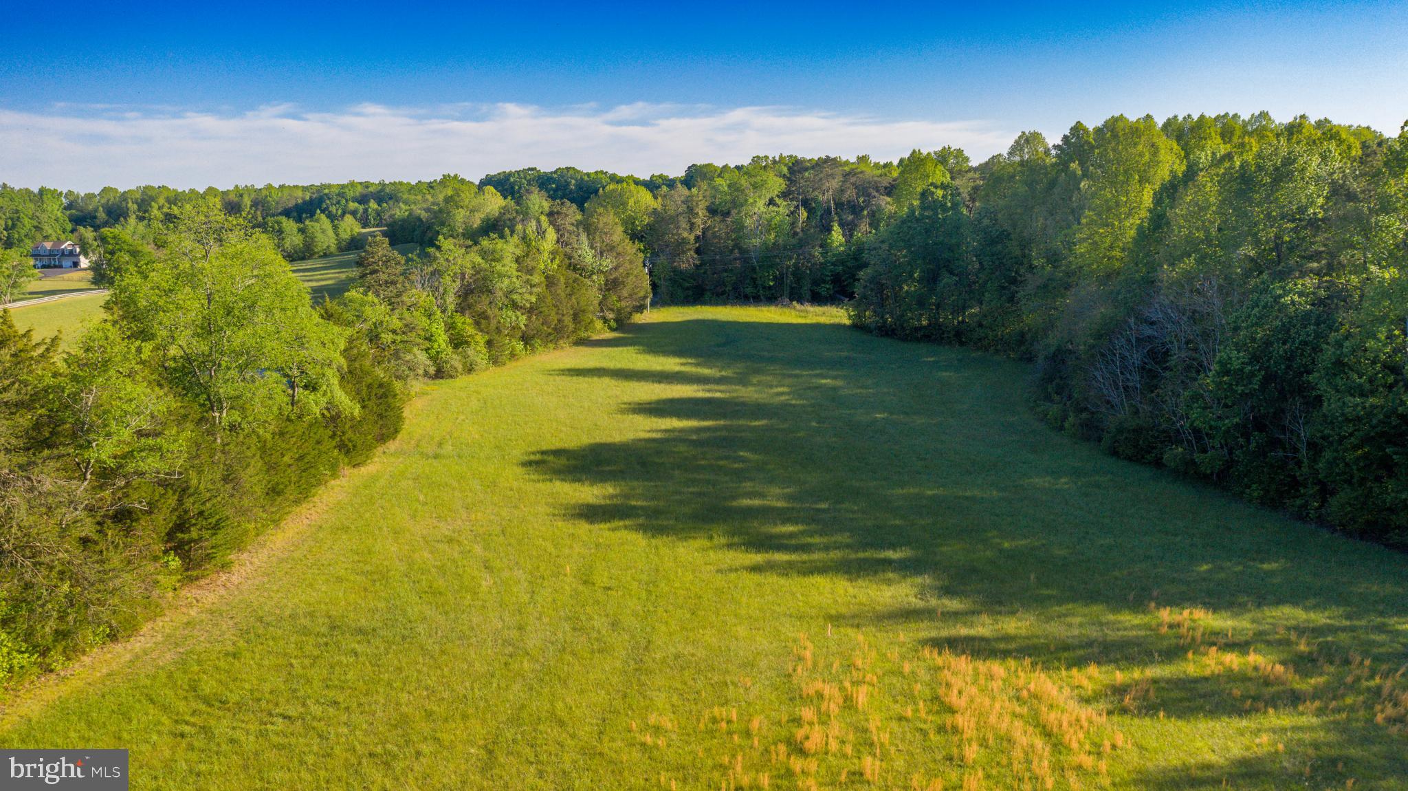 0 Trivette Road Beaverdam, VA 23015 - Photo 19 of 45