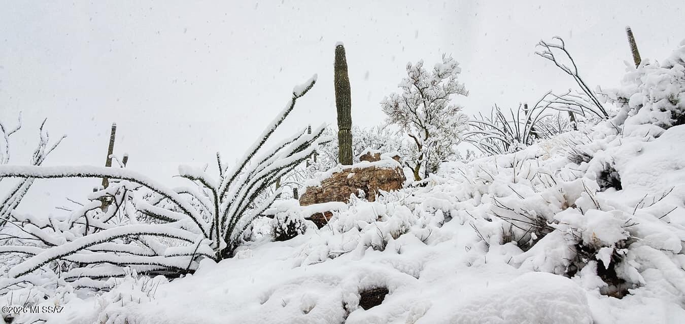 5499 North Wentworth Road Tucson, AZ 85749 - Photo 4 of 8 Mountain side snow