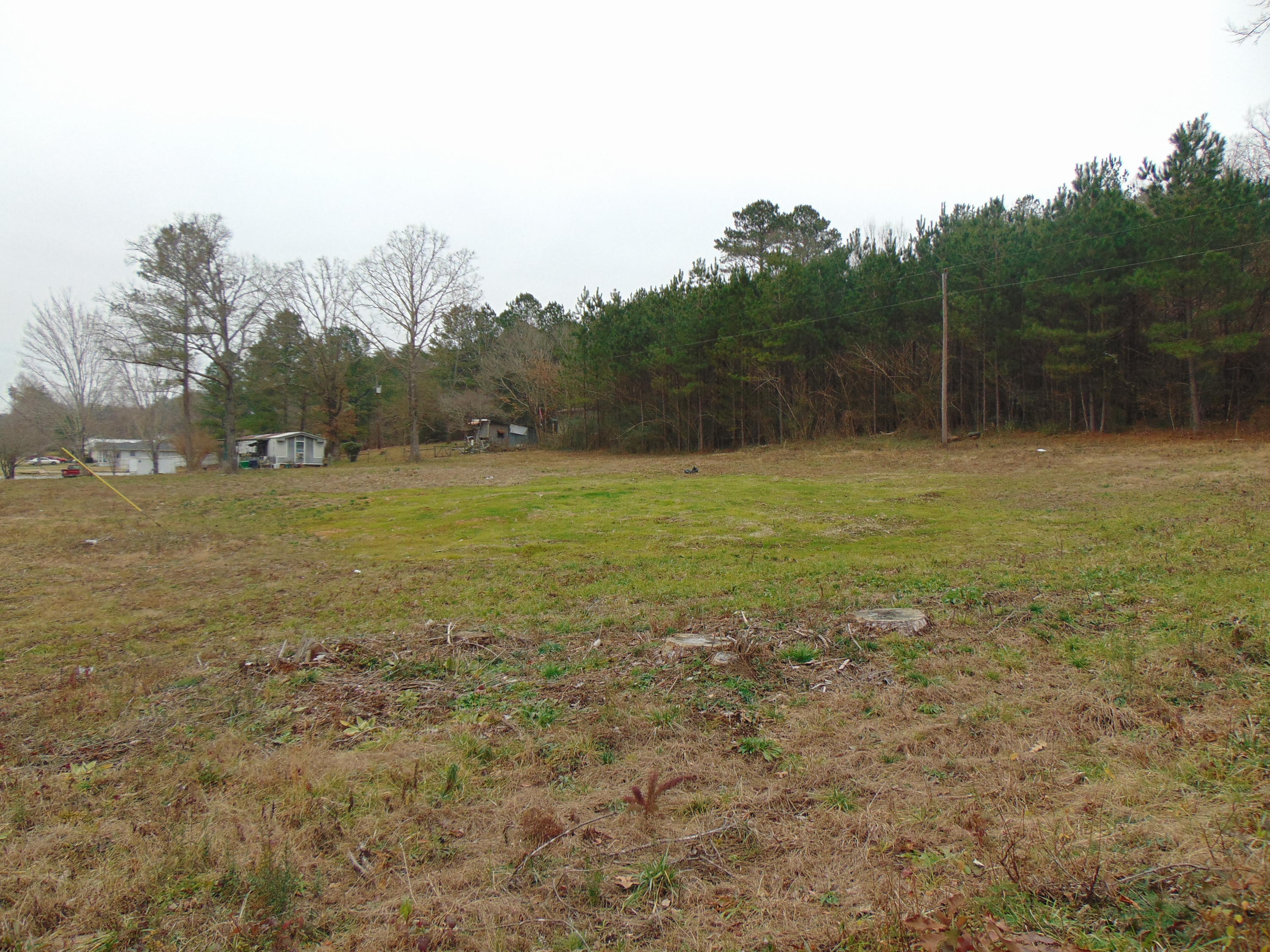 0 Main Street, Unit 65 Dunlap, TN 37327 - Photo 2 of 9 DSC00439