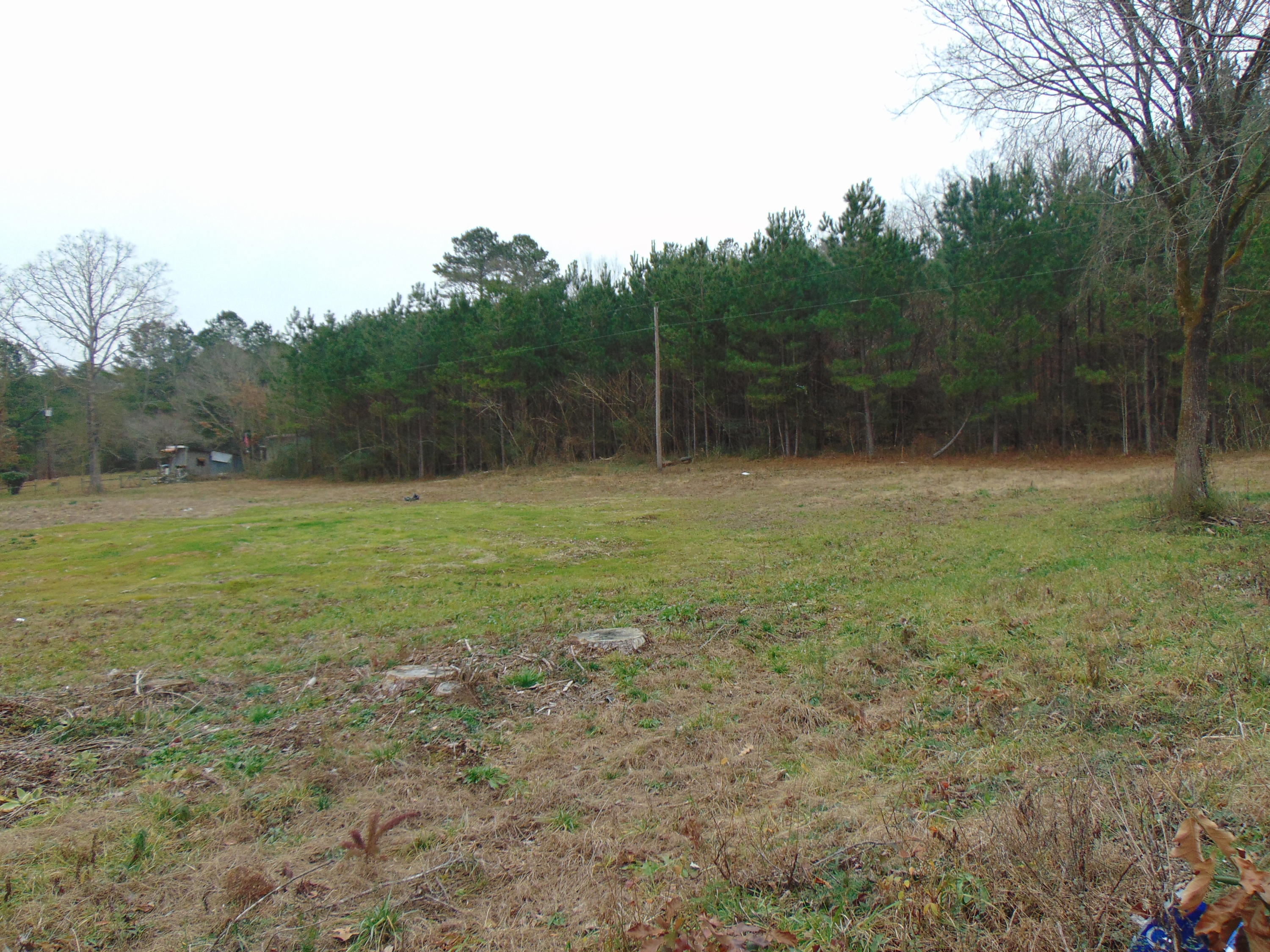 0 Main Street, Unit 65 Dunlap, TN 37327 - Photo 3 of 9 DSC00440