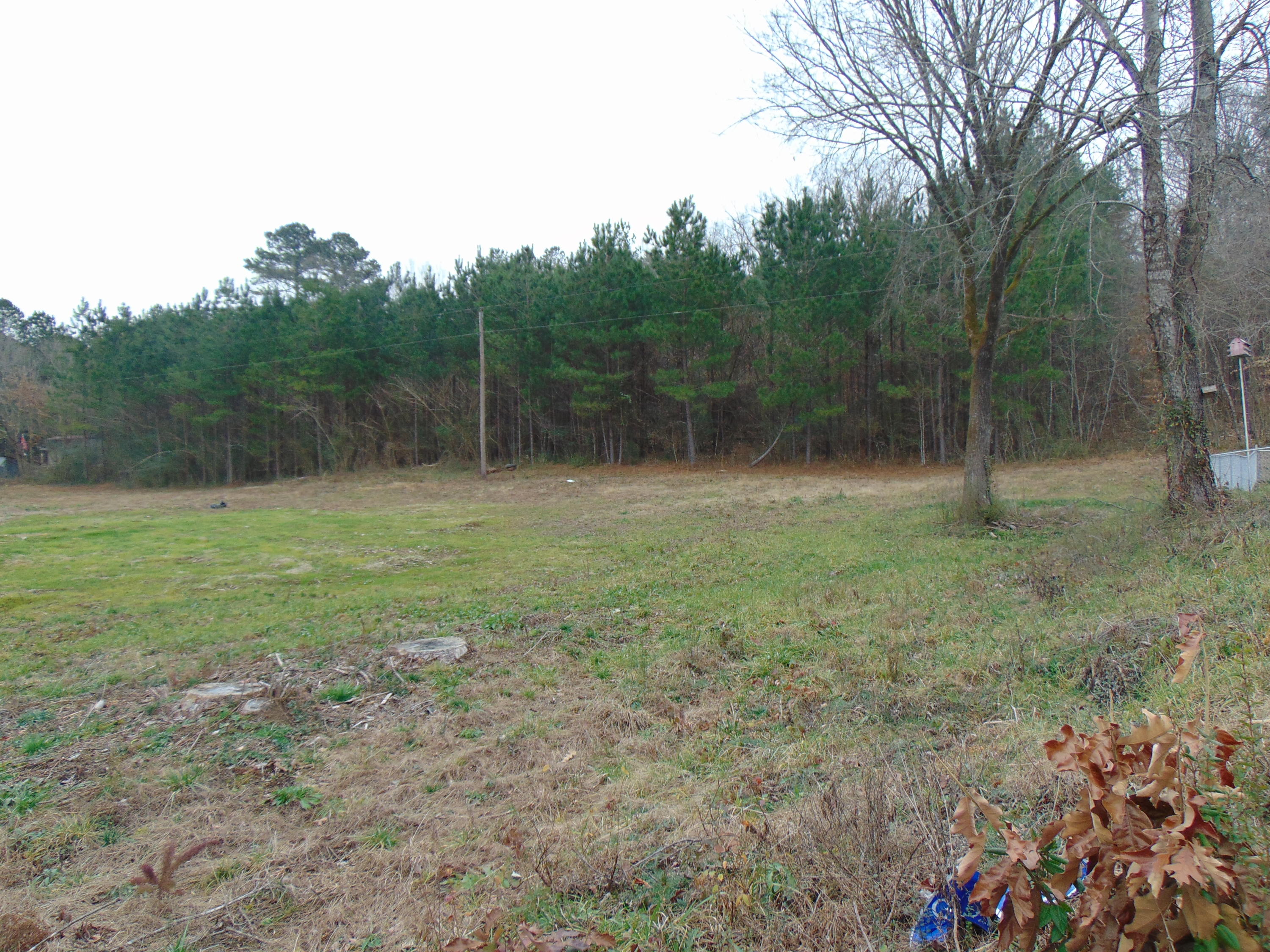 0 Main Street, Unit 65 Dunlap, TN 37327 - Photo 4 of 9 DSC00441