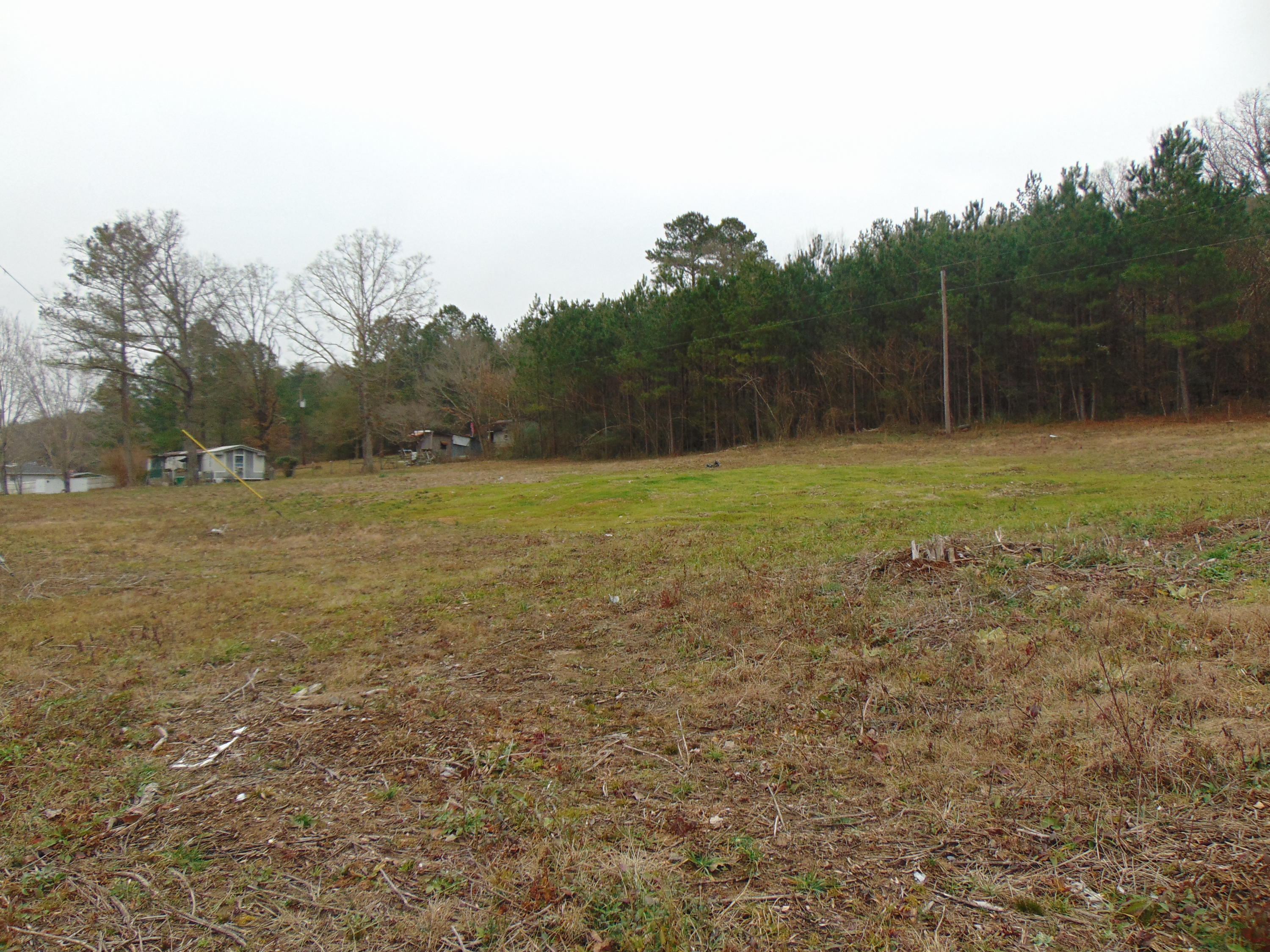0 Main Street, Unit 65 Dunlap, TN 37327 - Photo 5 of 9 DSC00442