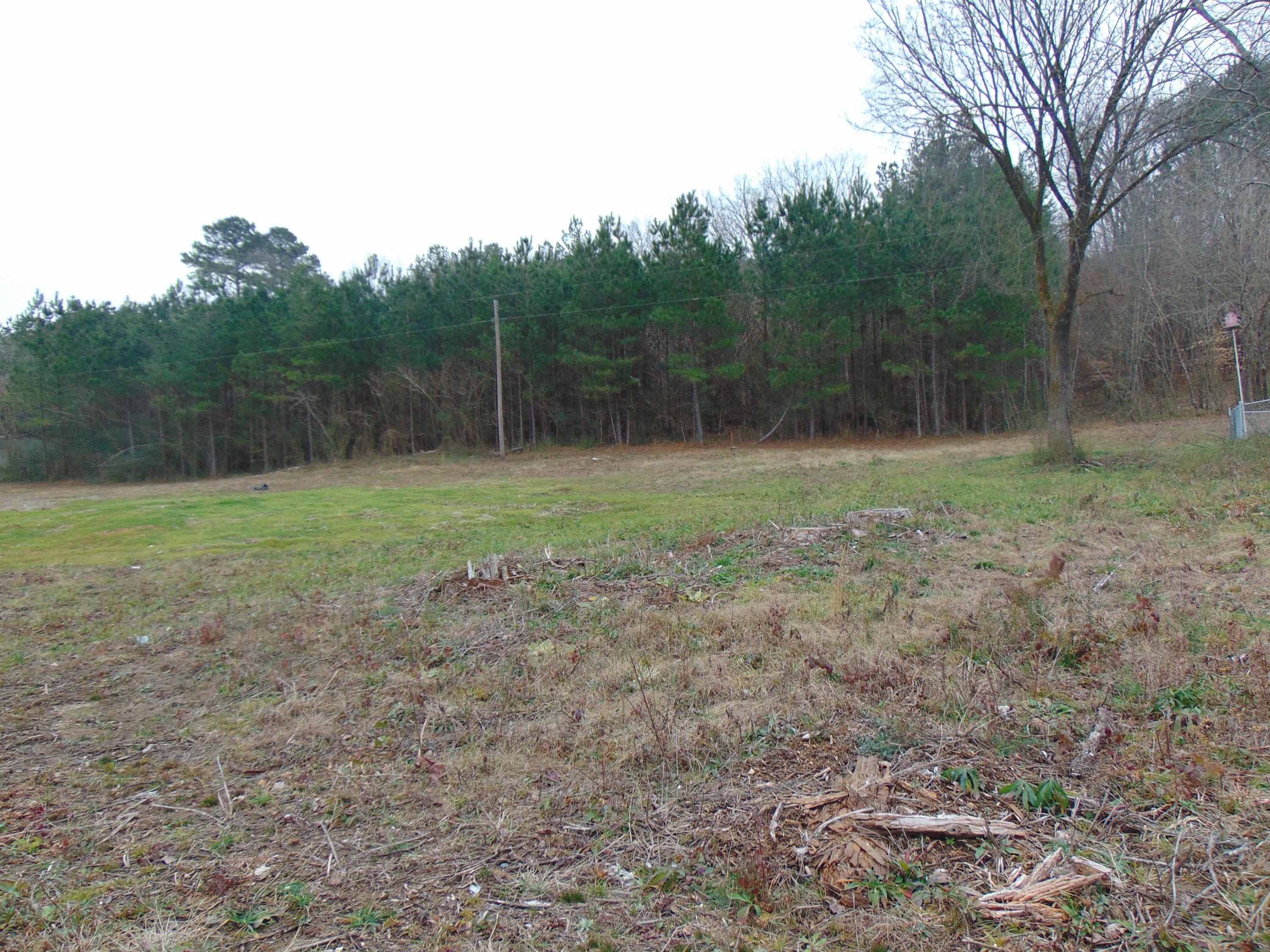 0 Main Street, Unit 65 Dunlap, TN 37327 - Photo 6 of 9 DSC00443