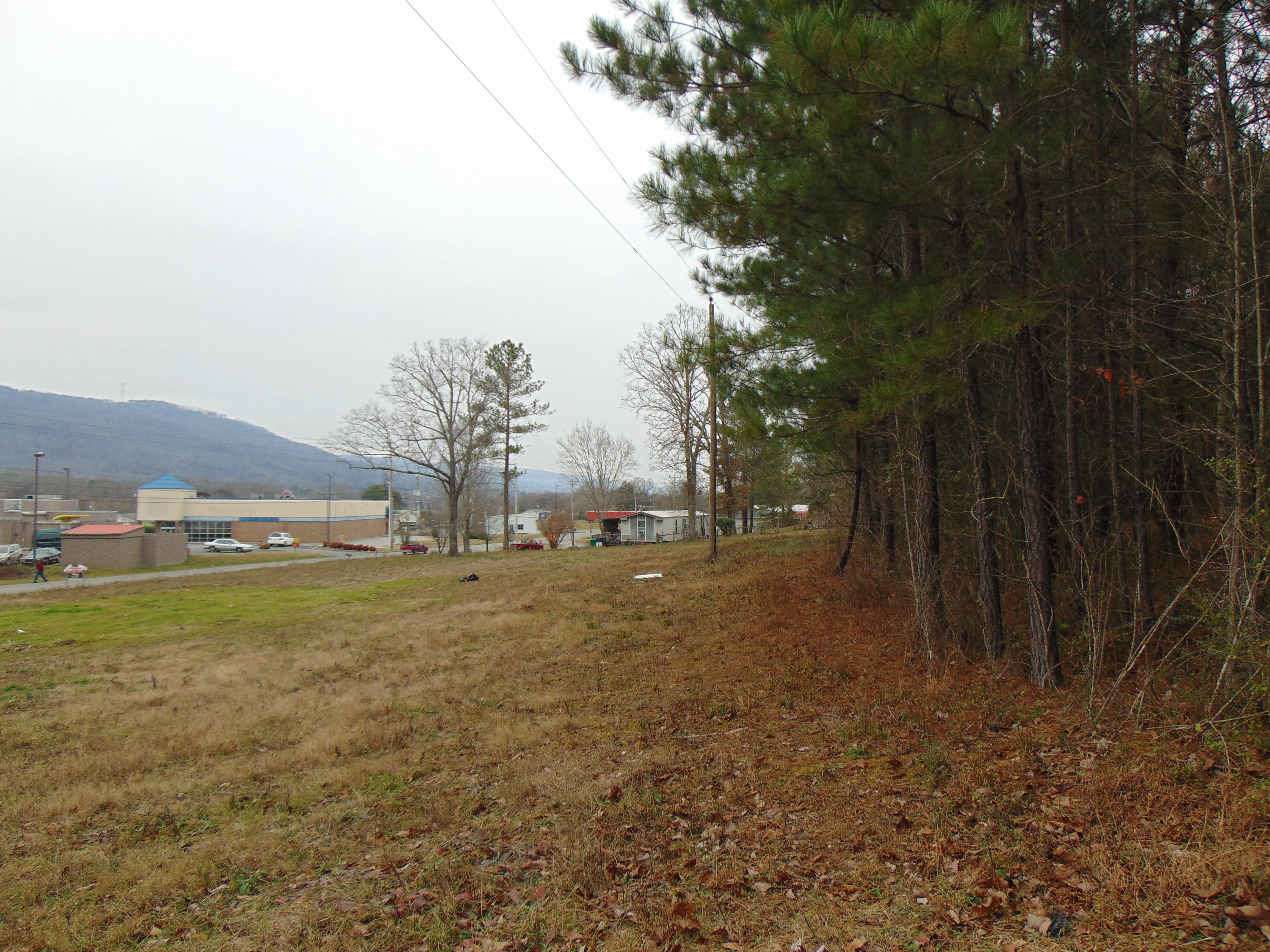 0 Main Street, Unit 65 Dunlap, TN 37327 - Photo 7 of 9 DSC00444
