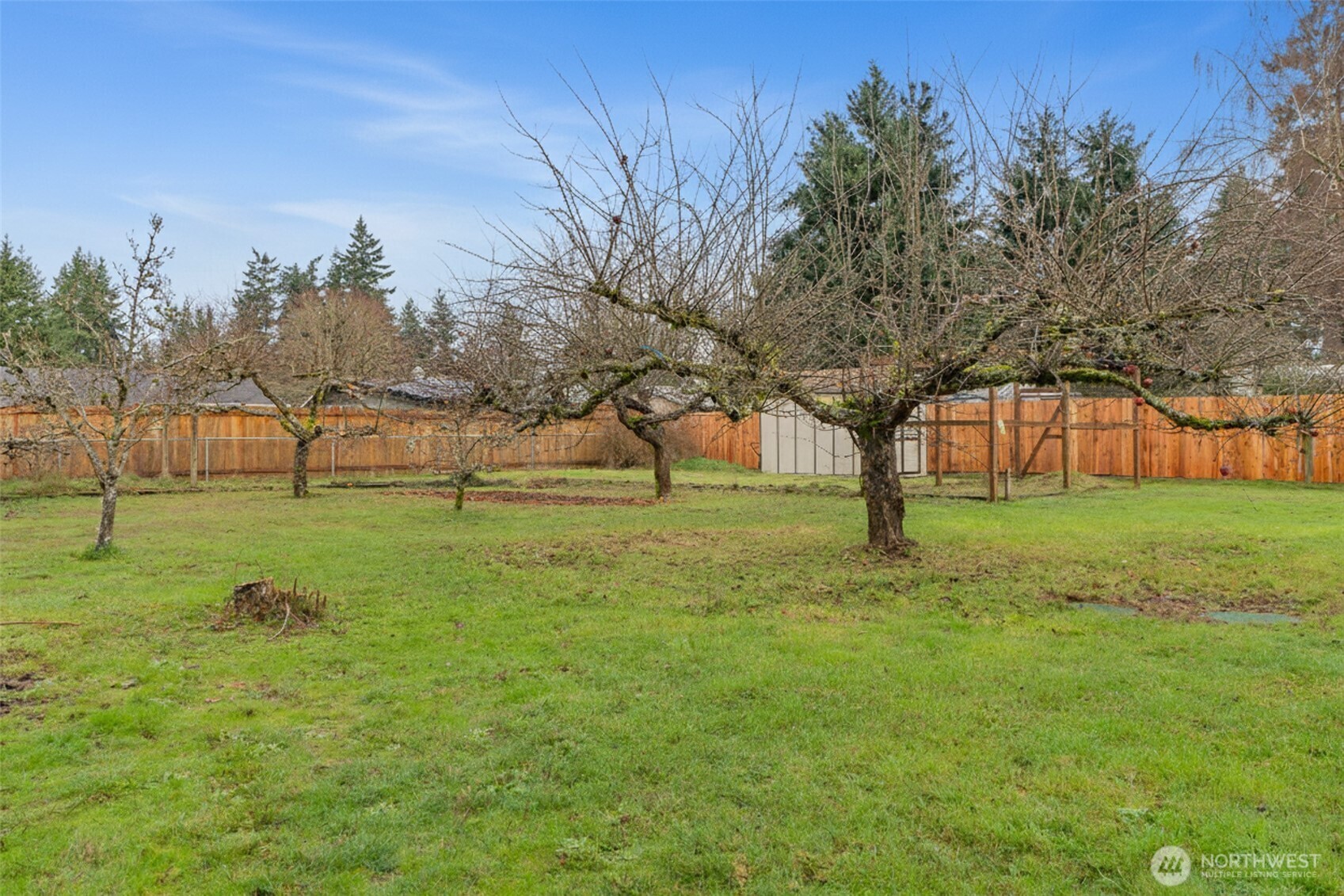 8608 9th Way Southeast Lacey, WA 98513 - Photo 29 of 33