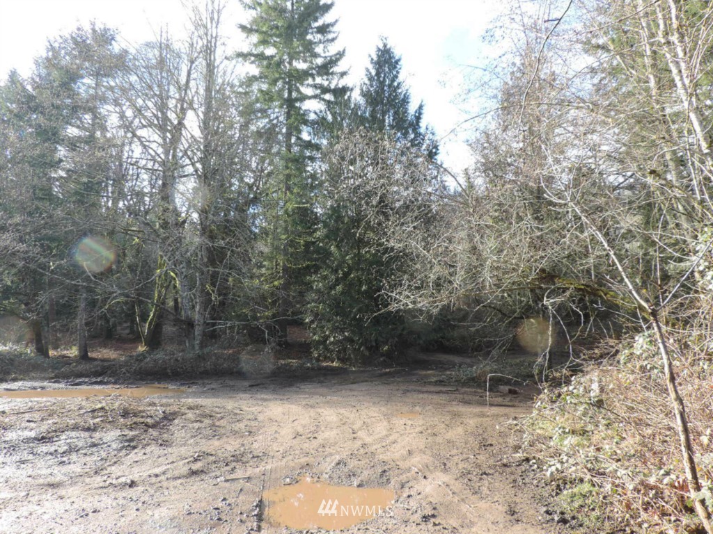 4529 Gold Ridge Lane Southwest Olympia, WA 98512 - Photo 11 of 23 Gallery Image 11