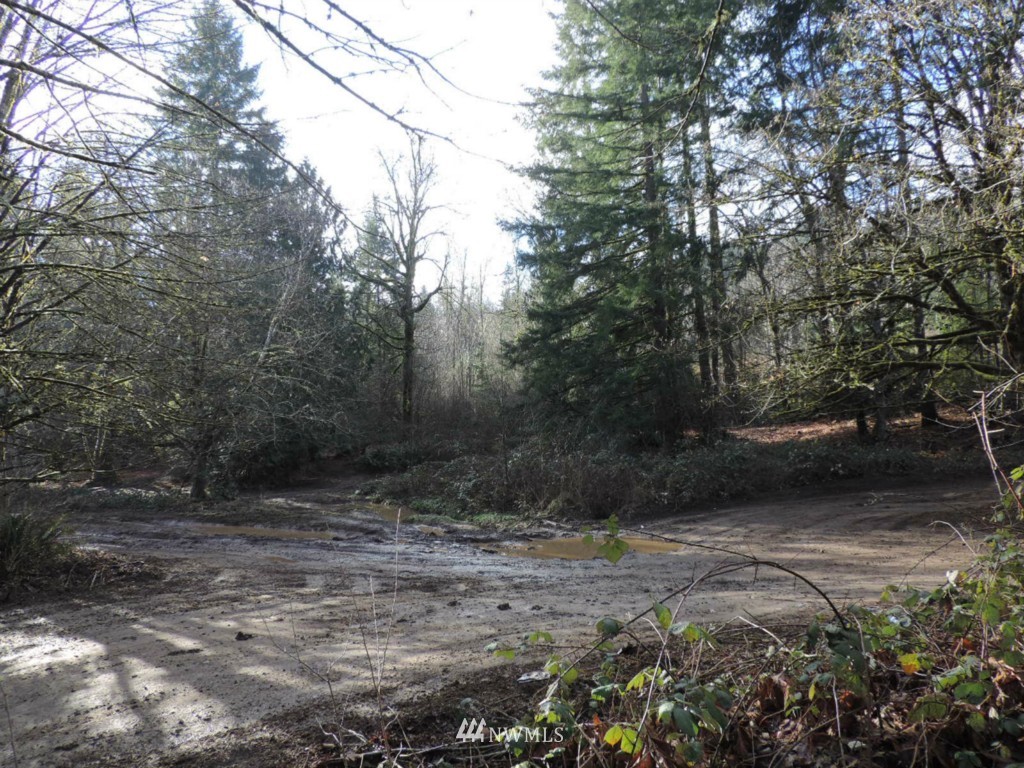 4529 Gold Ridge Lane Southwest Olympia, WA 98512 - Photo 8 of 23 Gallery Image 8