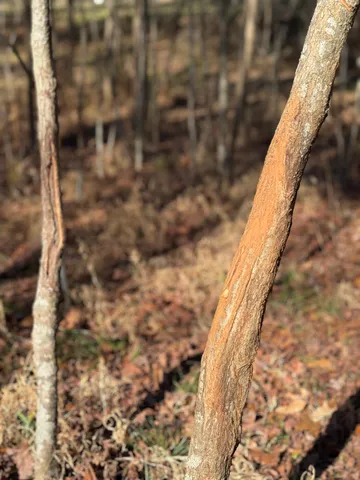 $175,000 | 4724 Canterbury Lane, Evans, GA 30809