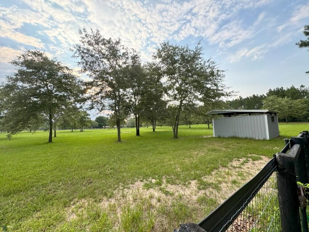 357 North Windsor Road Windsor, SC 29856 - Photo 15 of 20 a view of a backyard with large trees