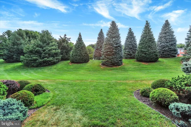 a view of a garden with trees