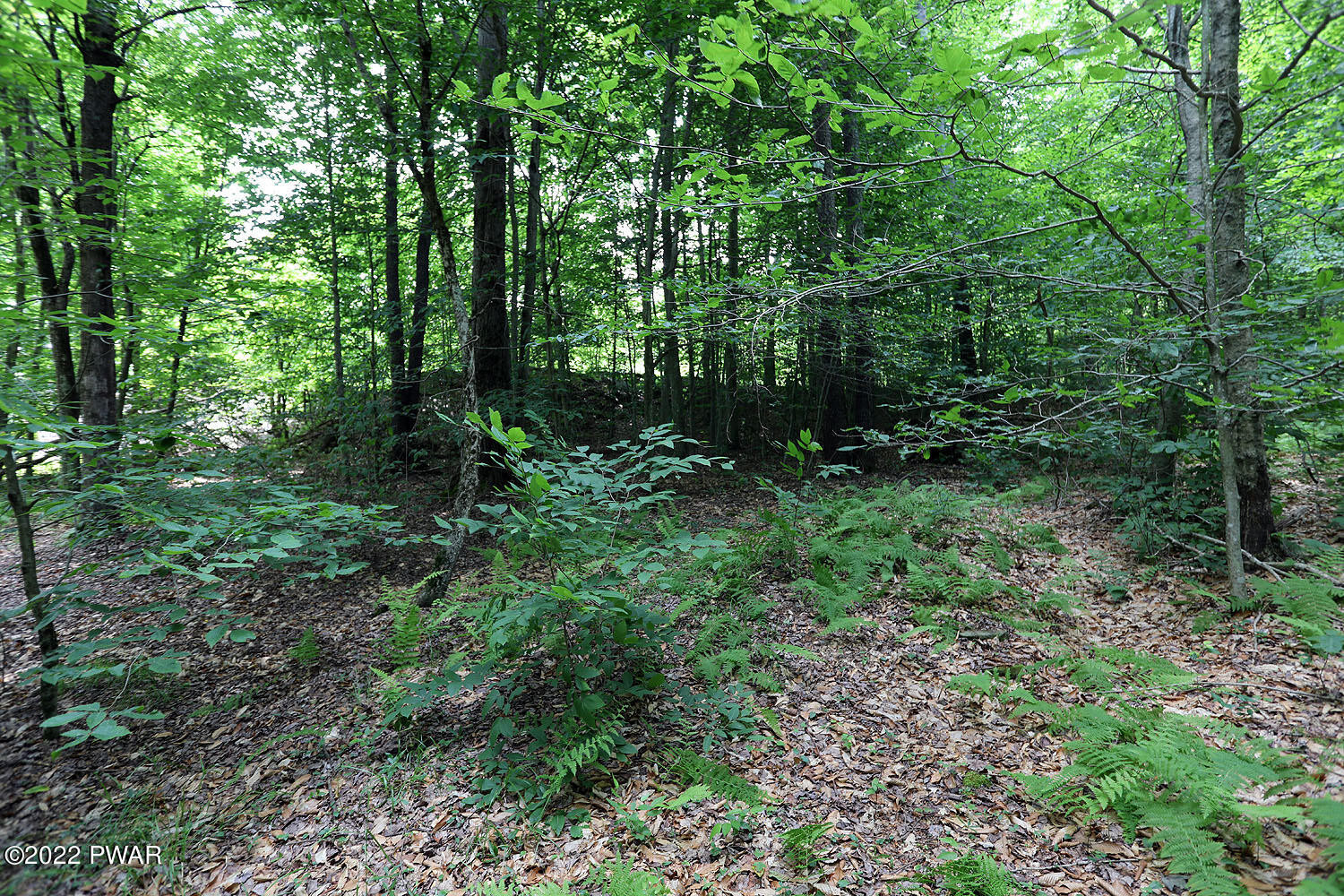 0 Minckler Mountain Road Damascus, PA 18415 - Photo 38 of 43