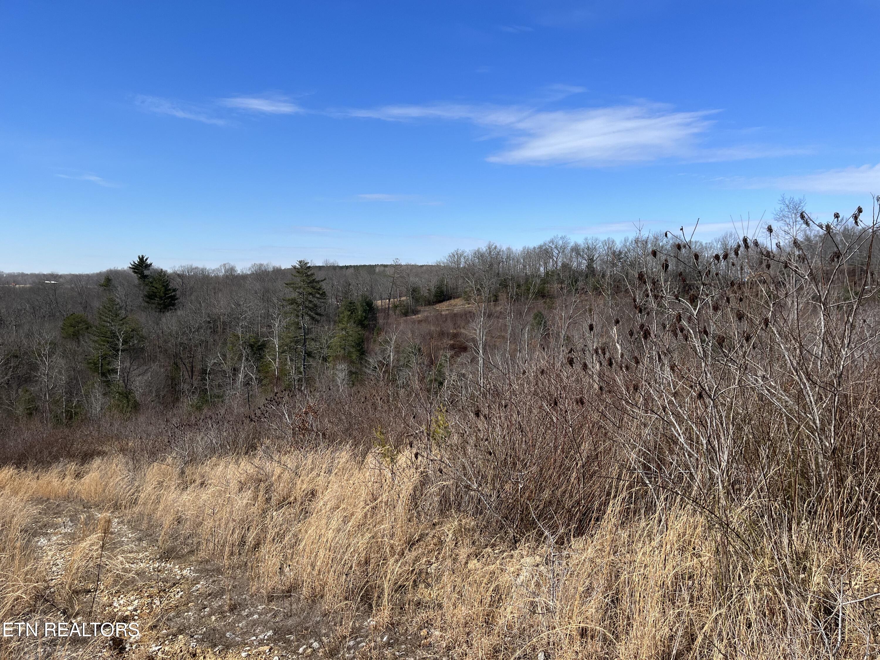 162.45-ac Mill Creek Road Sunbright, TN 37872 - Photo 18 of 37 IMG_0142