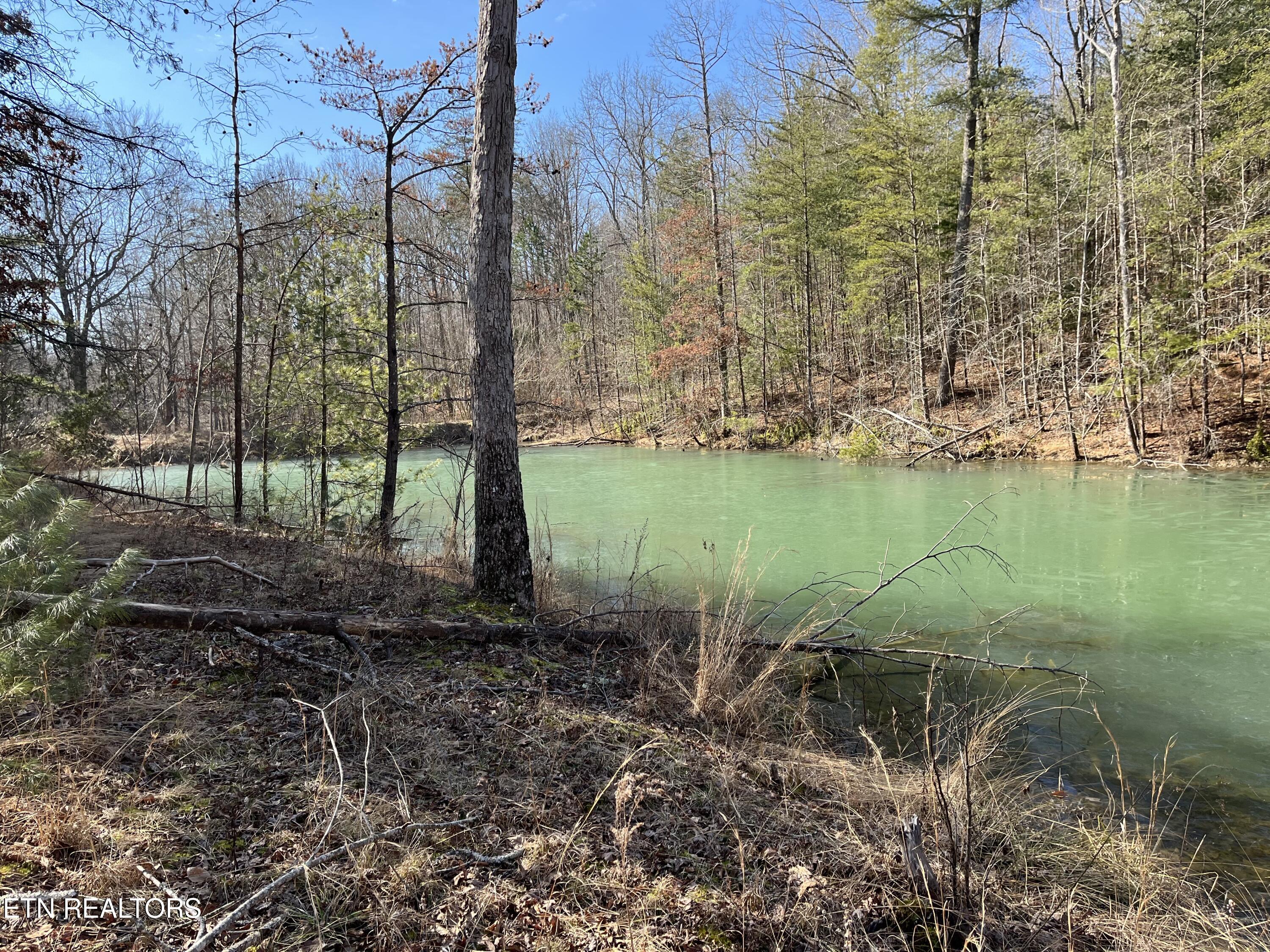 162.45-ac Mill Creek Road Sunbright, TN 37872 - Photo 2 of 37 IMG_0121