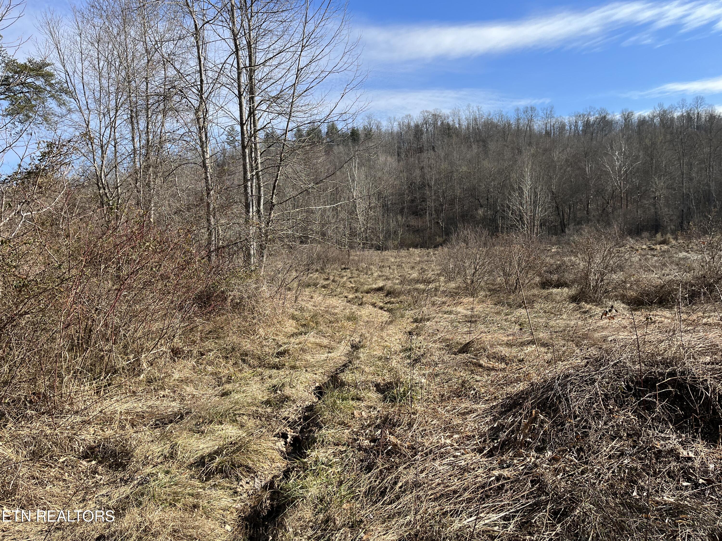 162.45-ac Mill Creek Road Sunbright, TN 37872 - Photo 21 of 37 IMG_0205