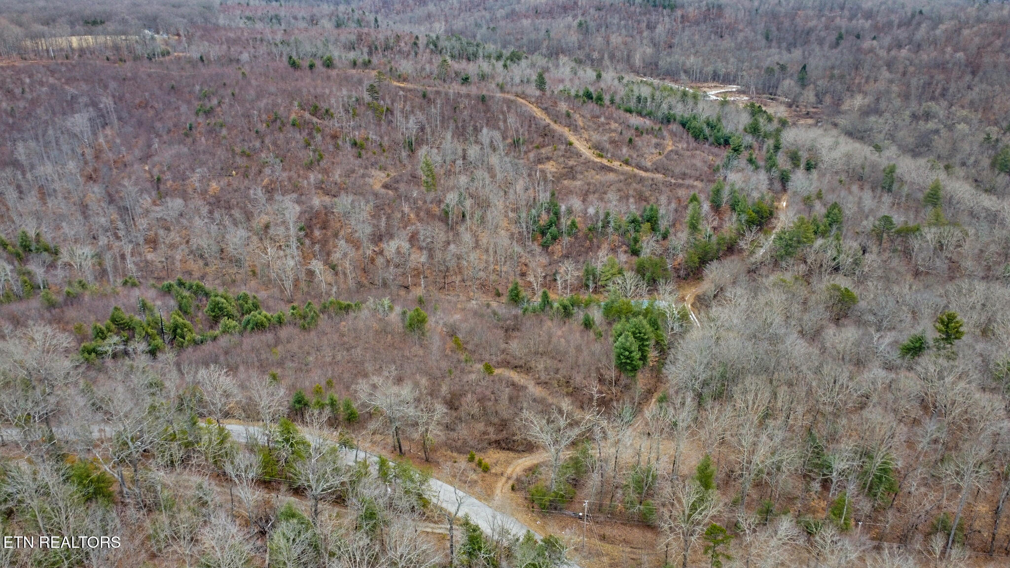 162.45-ac Mill Creek Road Sunbright, TN 37872 - Photo 28 of 37 dji_0281-dji_0283