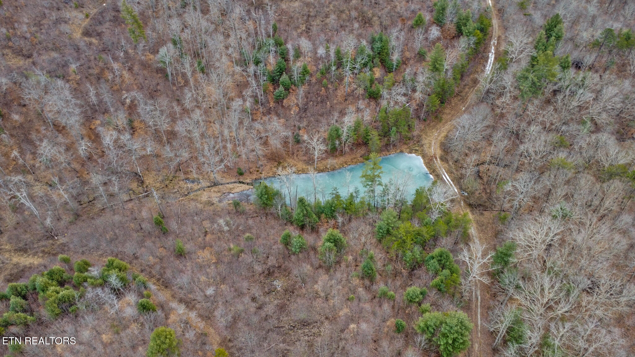 162.45-ac Mill Creek Road Sunbright, TN 37872 - Photo 29 of 37 dji_0285-dji_0287