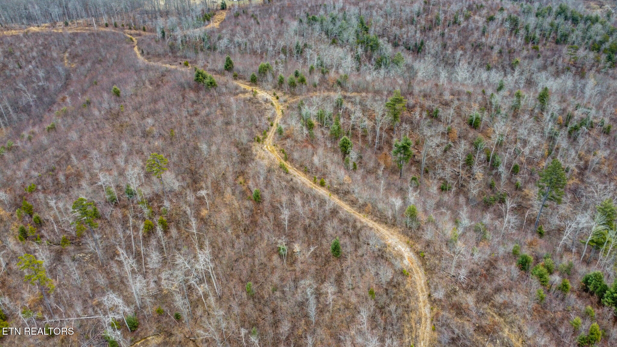 162.45-ac Mill Creek Road Sunbright, TN 37872 - Photo 30 of 37 dji_0290-dji_0292