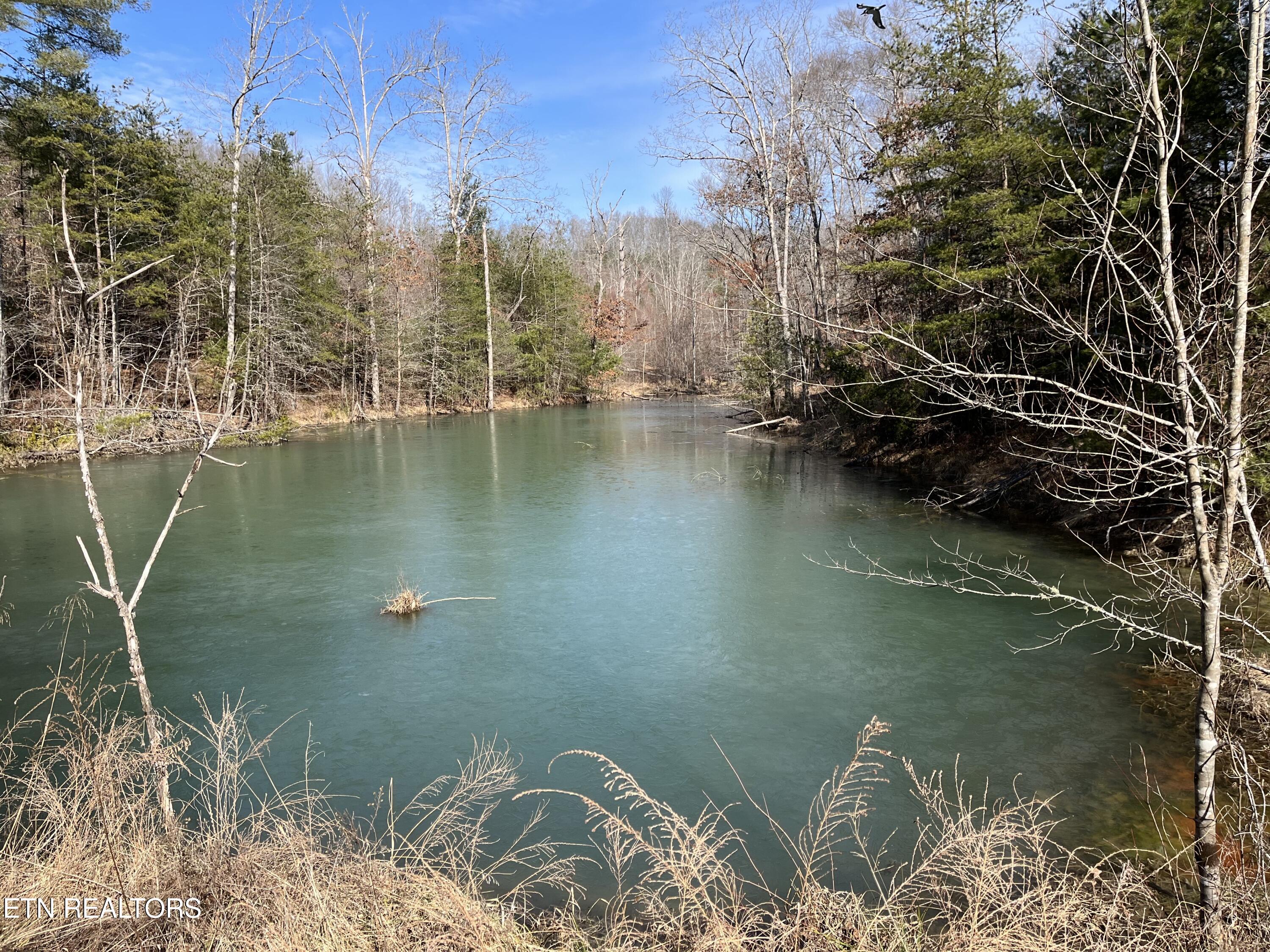 162.45-ac Mill Creek Road Sunbright, TN 37872 - Photo 3 of 37 IMG_0116