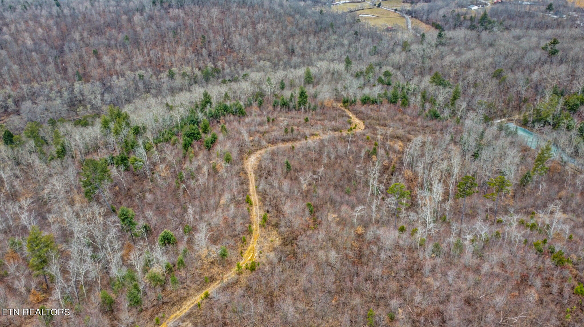 162.45-ac Mill Creek Road Sunbright, TN 37872 - Photo 34 of 37 dji_0305-dji_0307