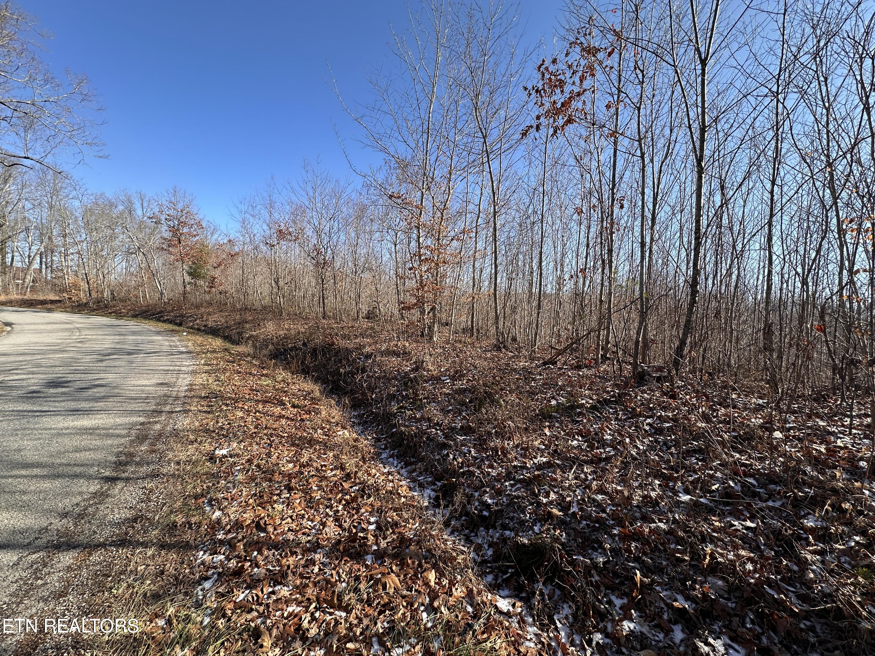 162.45-ac Mill Creek Road Sunbright, TN 37872 - Photo 6 of 37 IMG_8119