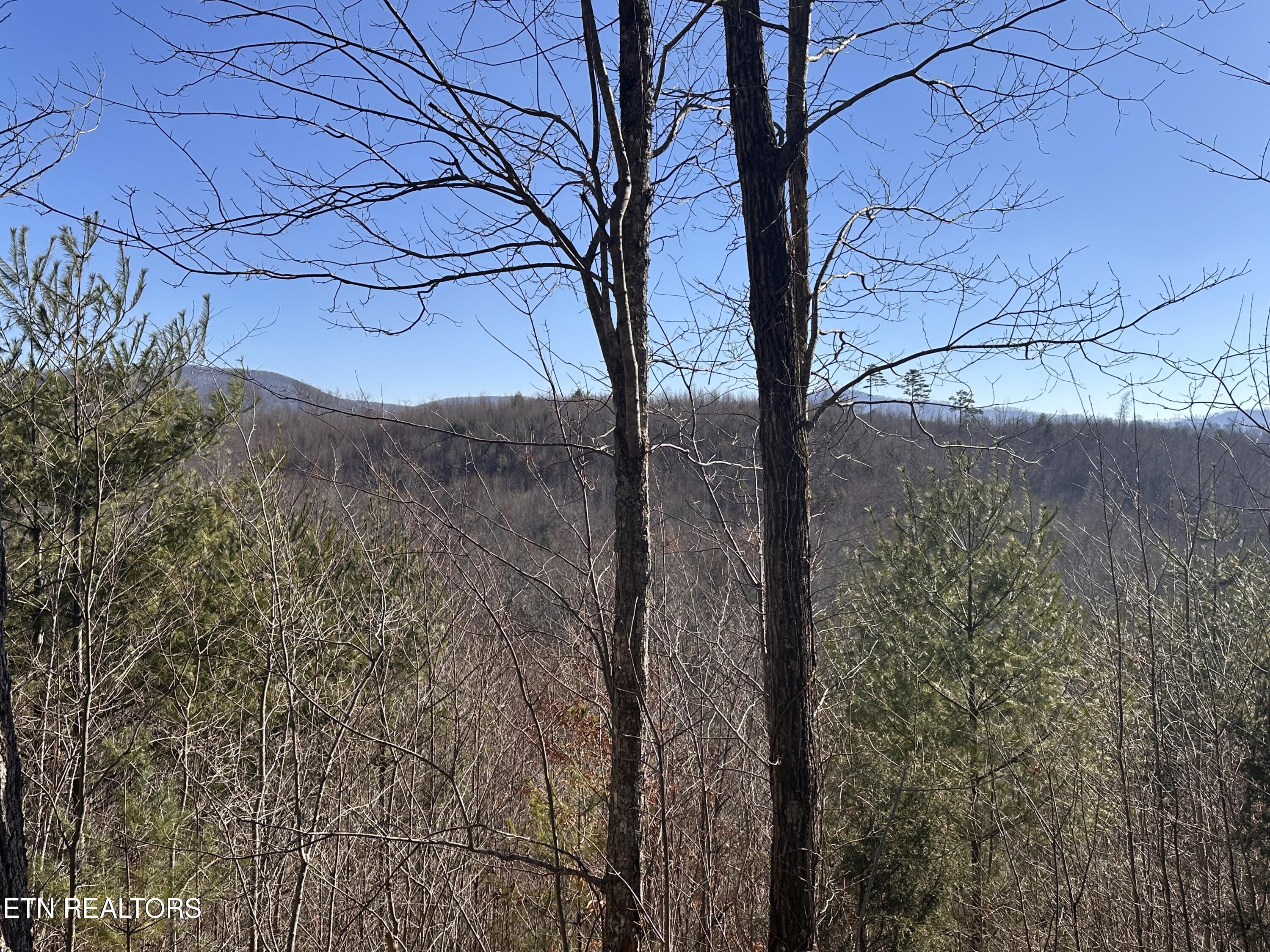 162.45-ac Mill Creek Road Sunbright, TN 37872 - Photo 7 of 37 IMG_8121