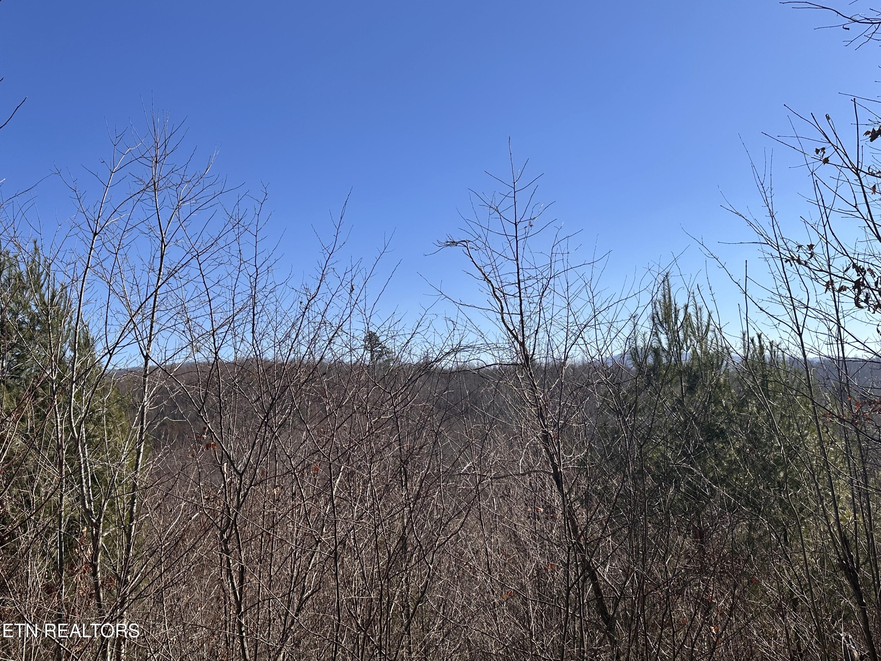 162.45-ac Mill Creek Road Sunbright, TN 37872 - Photo 8 of 37 IMG_8122