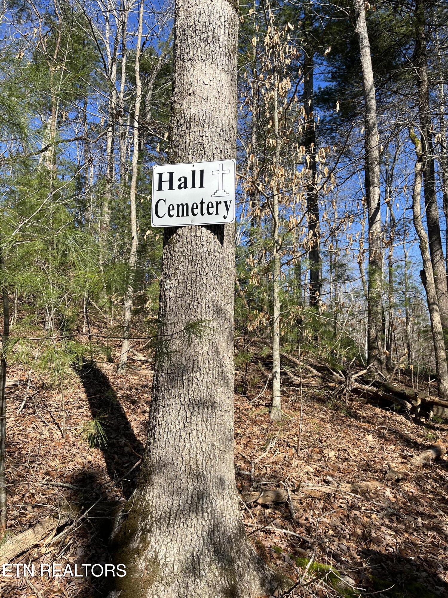 162.45-ac Mill Creek Road Sunbright, TN 37872 - Photo 10 of 37 Cemetery