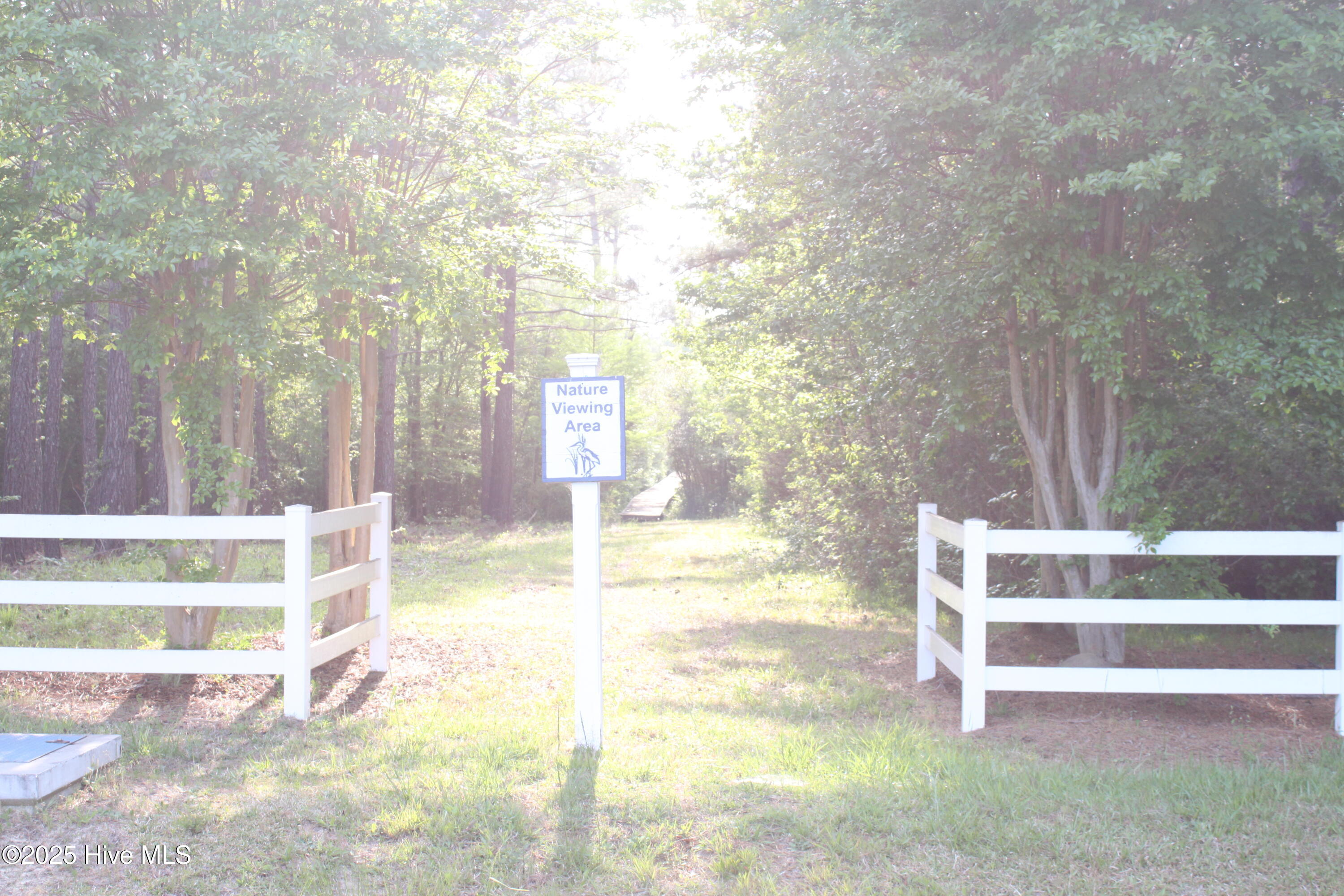 449 Riversound Drive Edenton, NC 27932 - Photo 12 of 12 IMG_2034