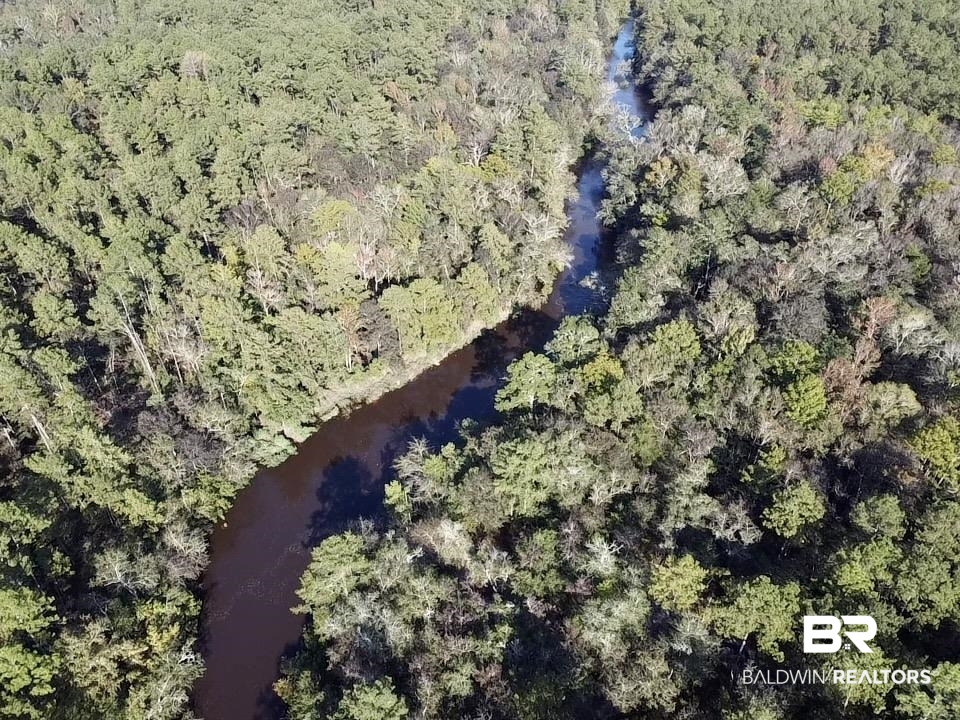 0 Country Road Vinegar Bend, AL 36584 - Photo 6 of 46