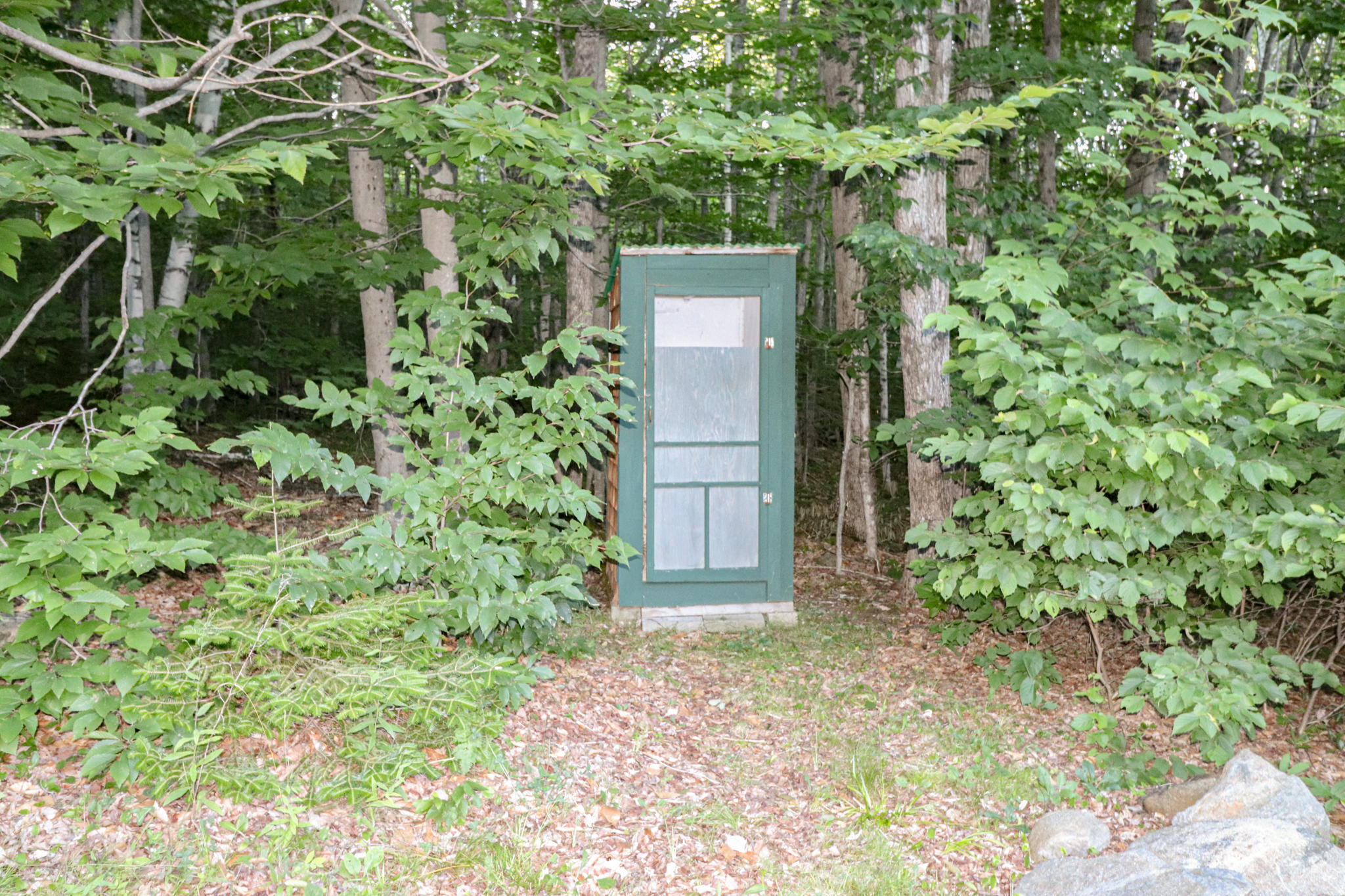 196 Basin Road Carthage, ME 04224 - Photo 33 of 44 IMG_6069