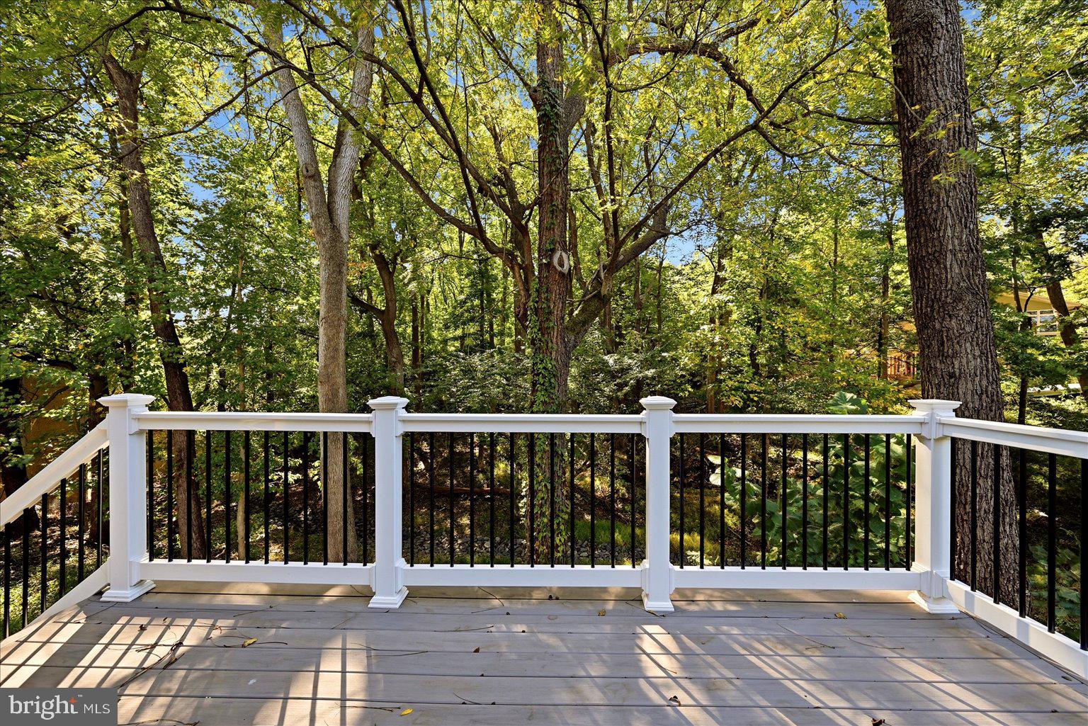 8711 Seven Locks Road Bethesda, MD 20817 - Photo 65 of 76 Gallery Image 65