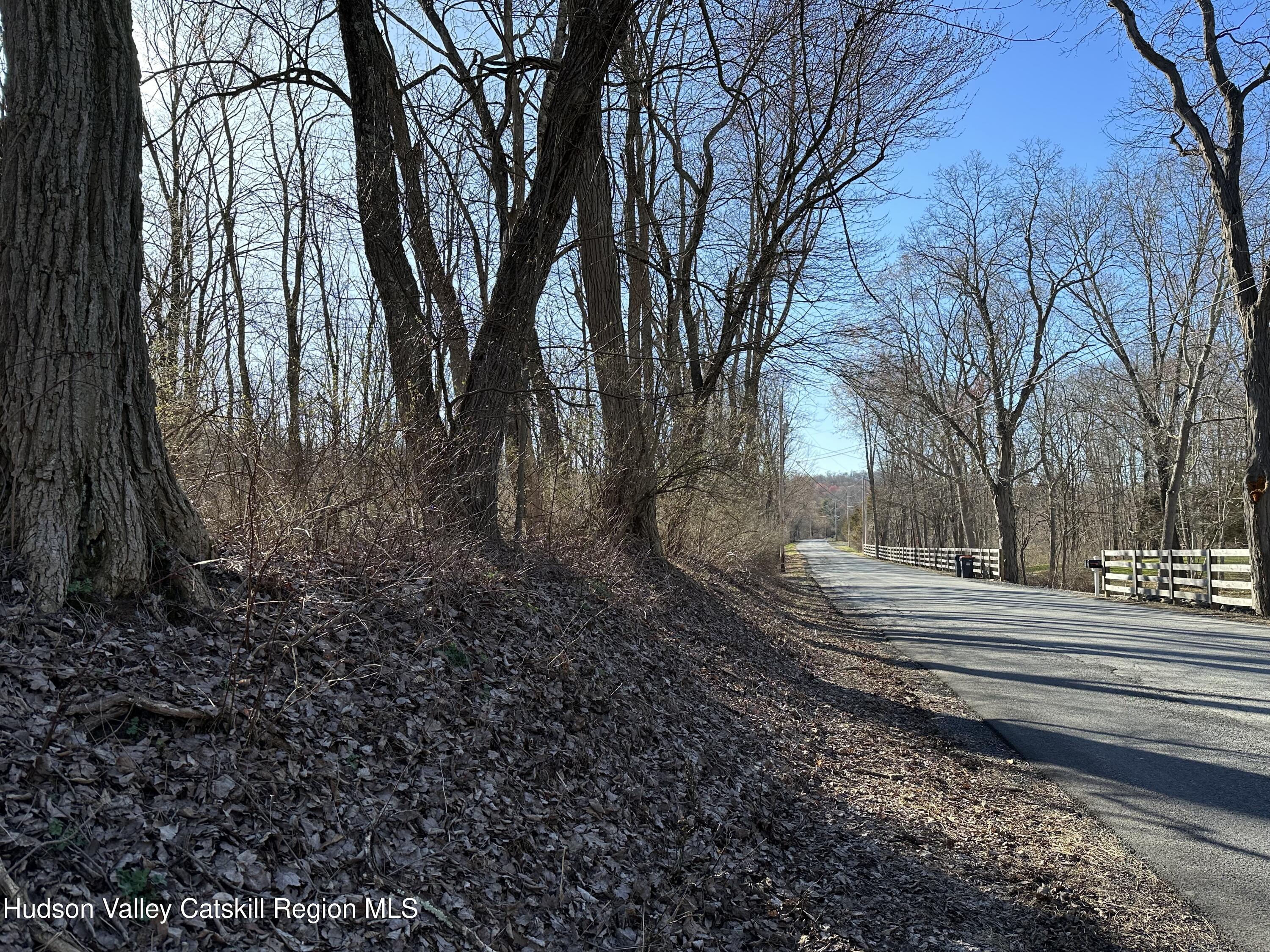 0 Schoolhouse Road Staatsburg, NY 12580 - Photo 1 of 10 a view of a yard with a bench