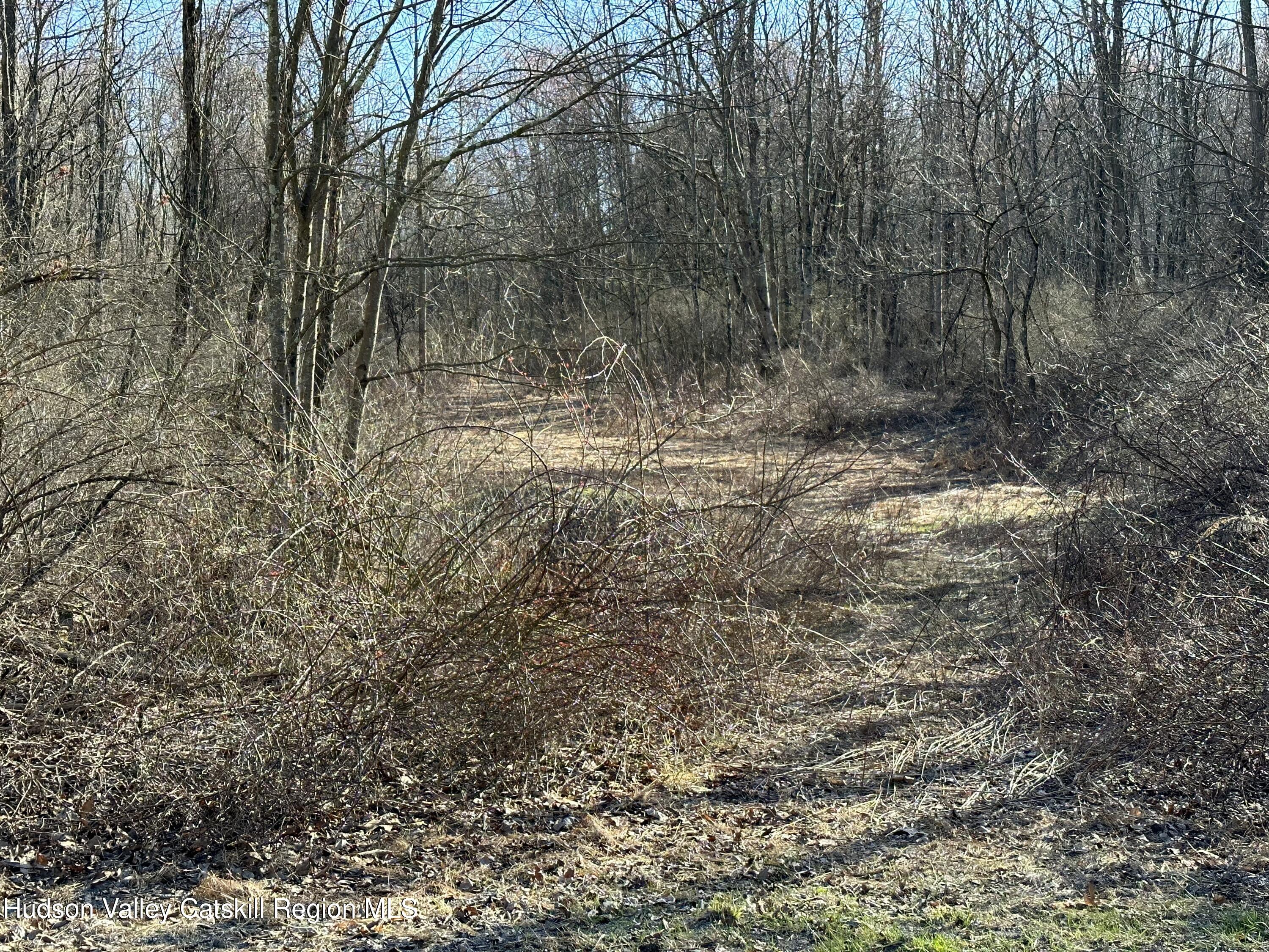 0 Schoolhouse Road Staatsburg, NY 12580 - Photo 3 of 10 a view of a yard with a tree