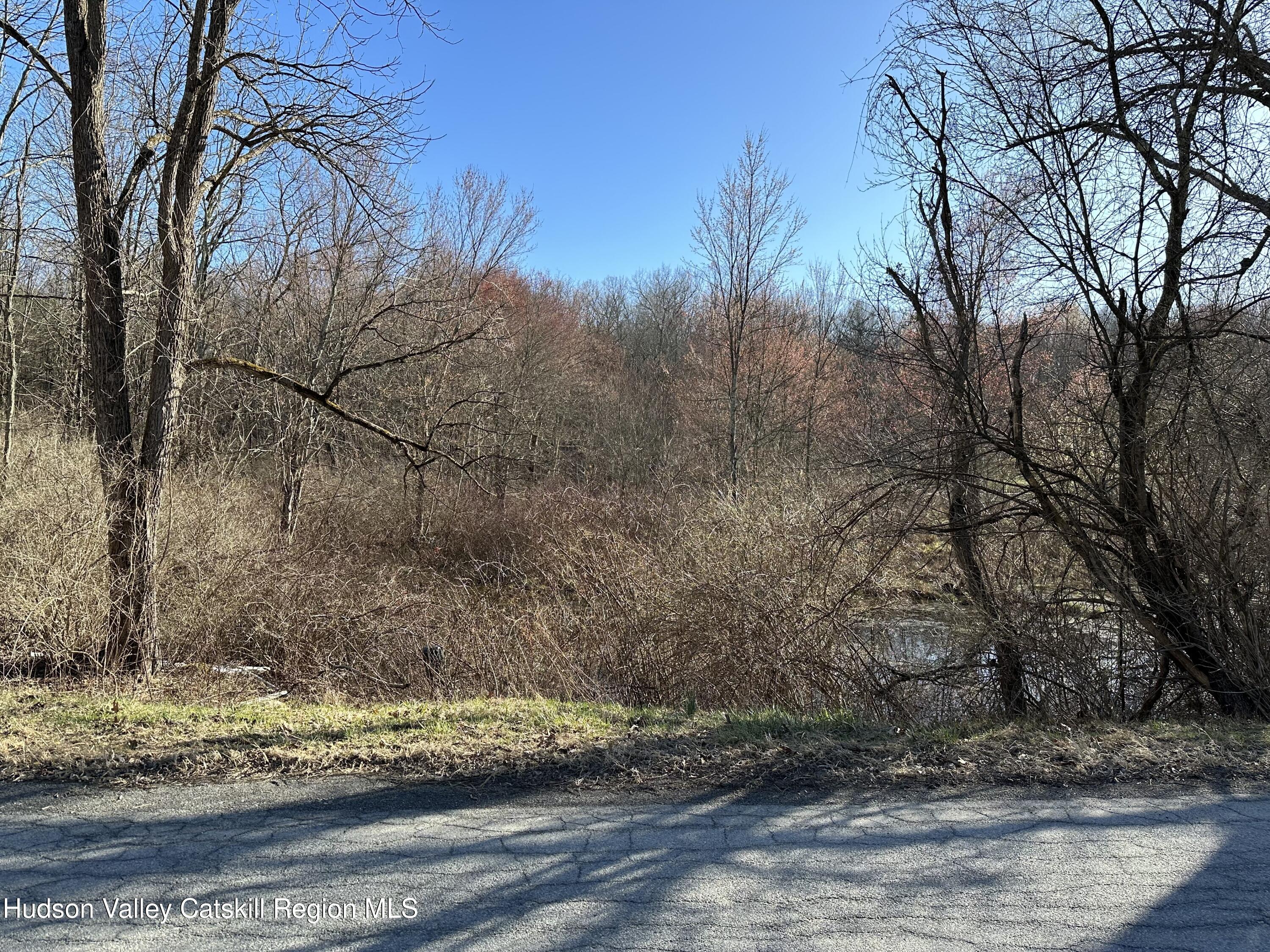 0 Schoolhouse Road Staatsburg, NY 12580 - Photo 5 of 10 a view of a yard with wooden fence