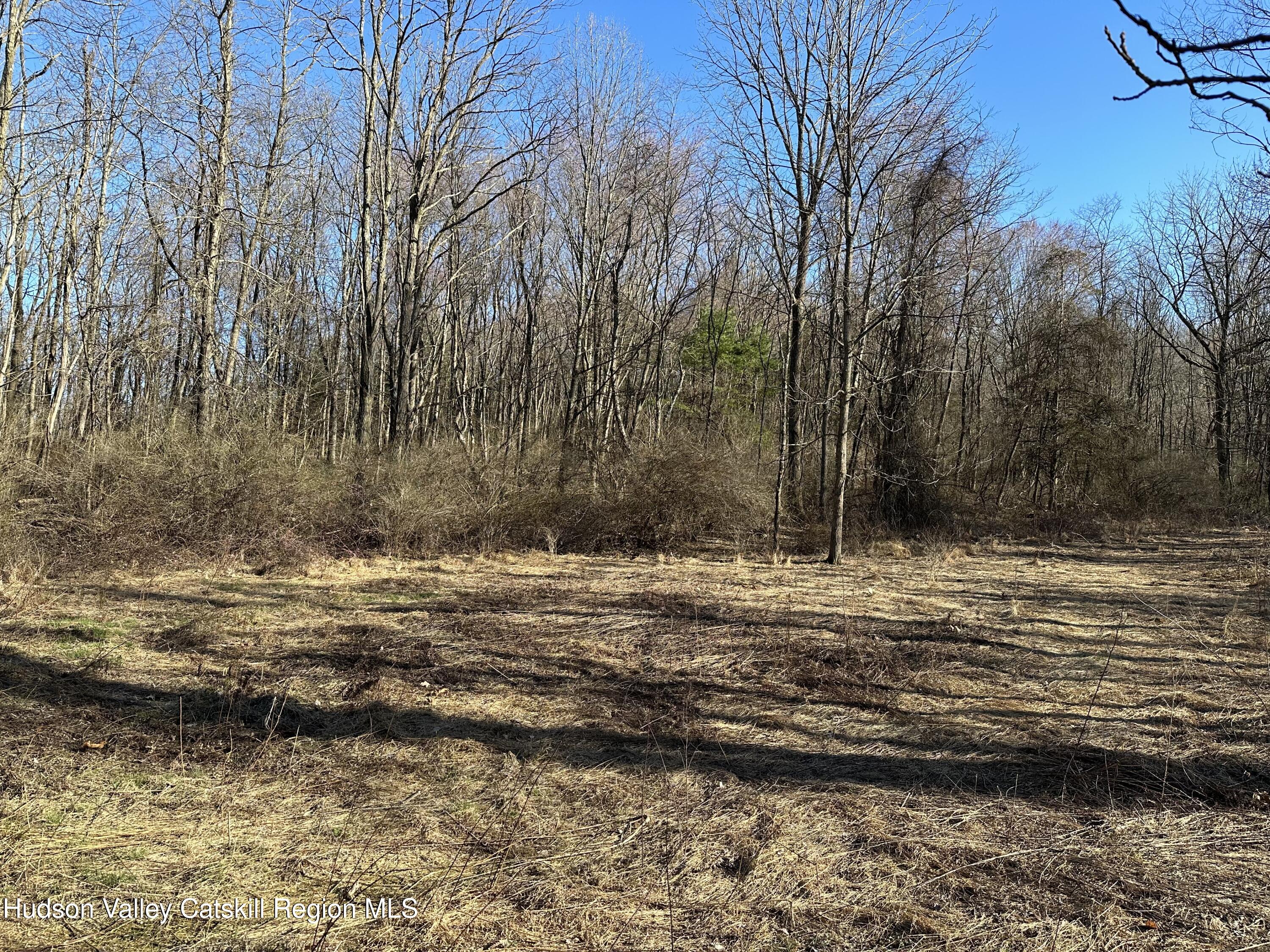 0 Schoolhouse Road Staatsburg, NY 12580 - Photo 7 of 10 a view of a pool with a yard