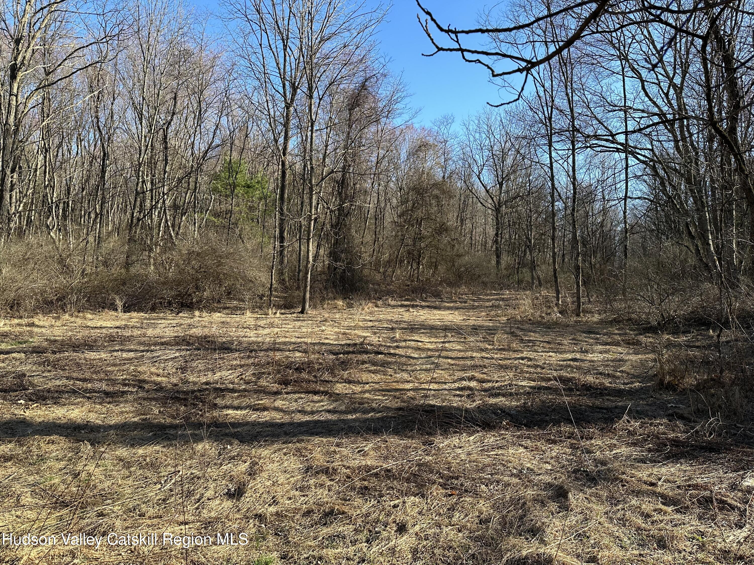 0 Schoolhouse Road Staatsburg, NY 12580 - Photo 8 of 10
