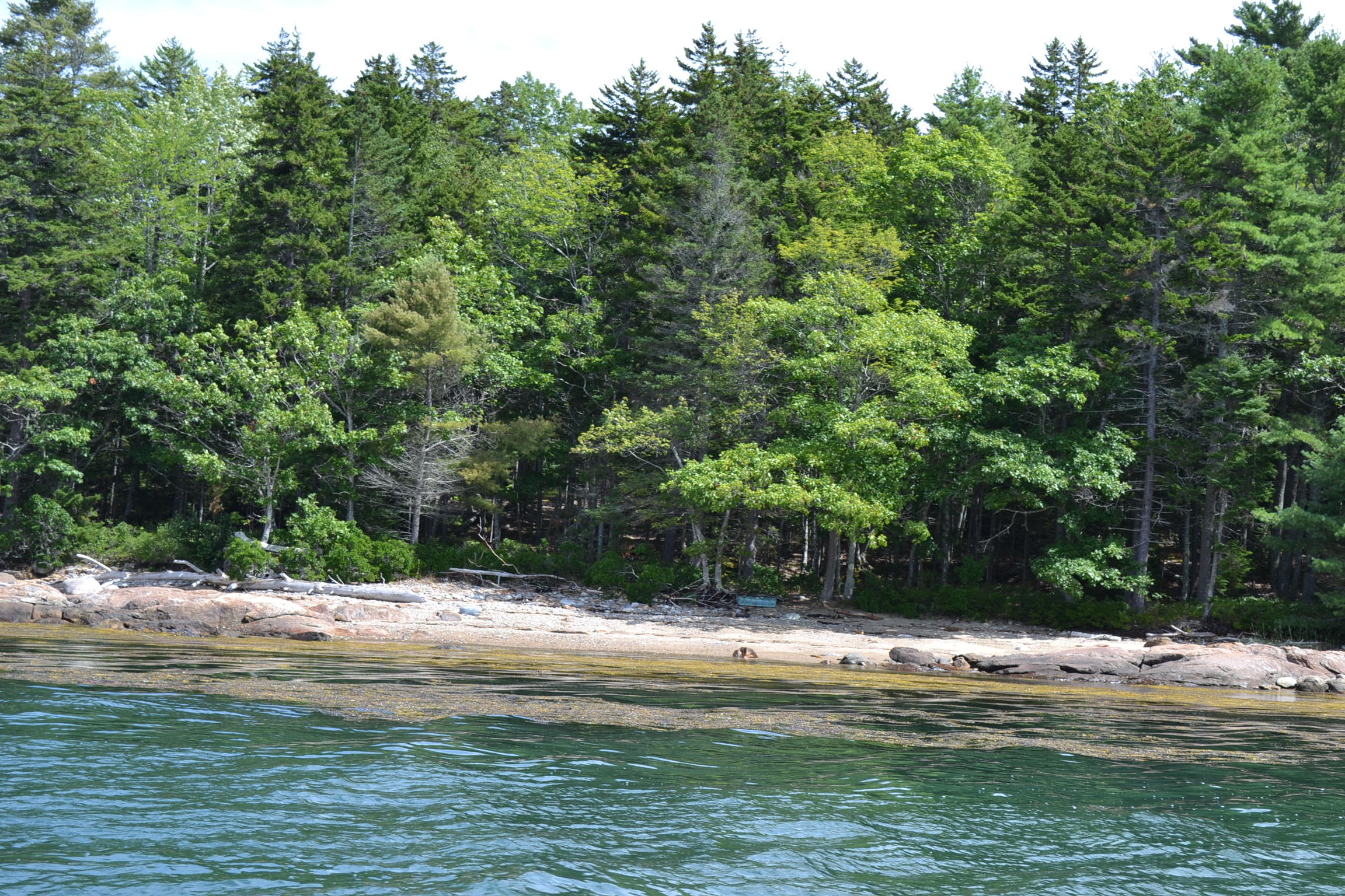 0 Pemaquid Harbor Road Pemaquid, ME 04558 - Photo 13 of 16 DSC_0715