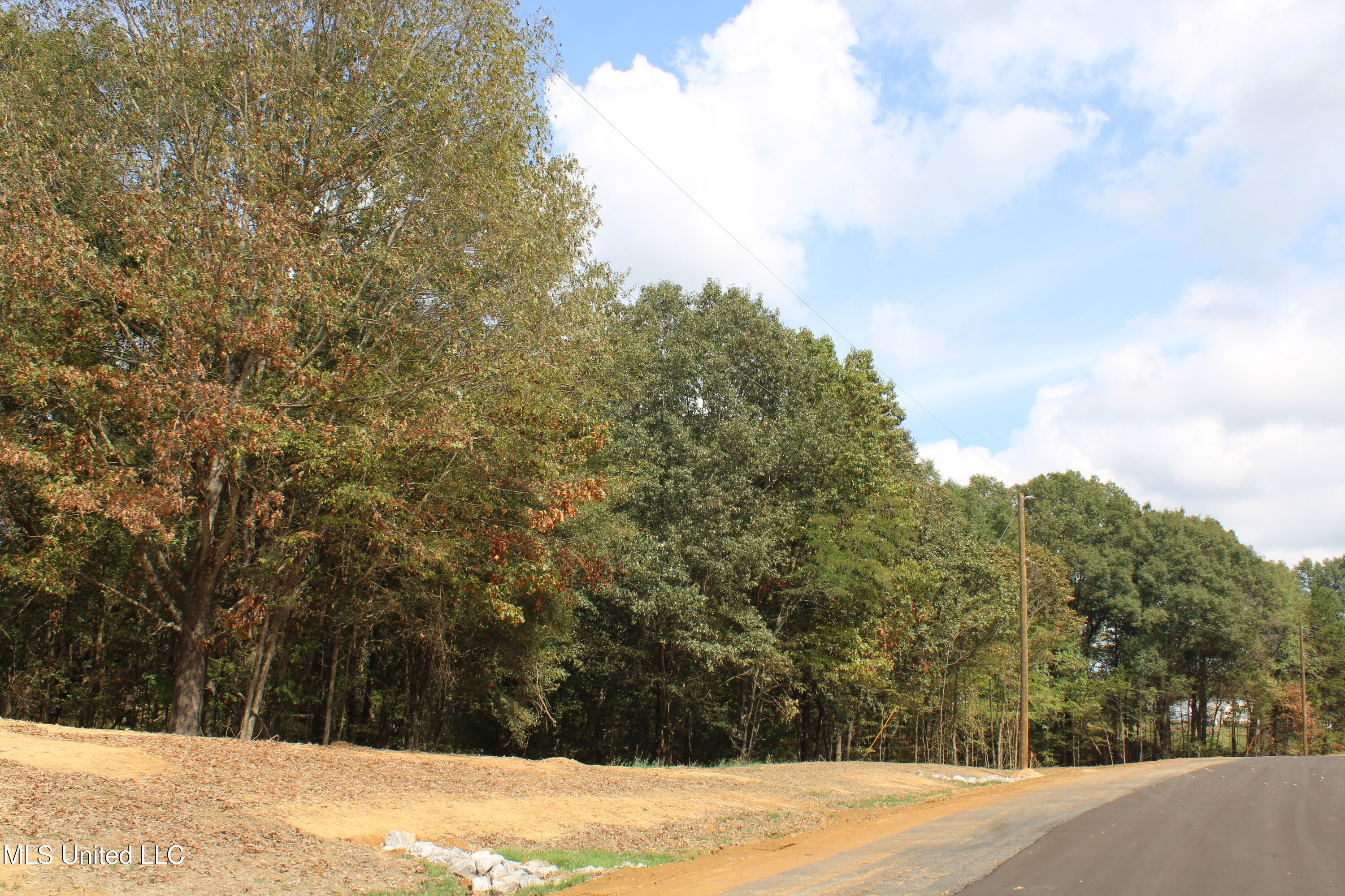 2 Hickory Hollow Road Coldwater, MS 38618 - Photo 26 of 70 IMG_6586