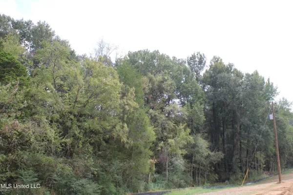 $99,000 | 2 Hickory Hollow Road, Coldwater, MS 38618