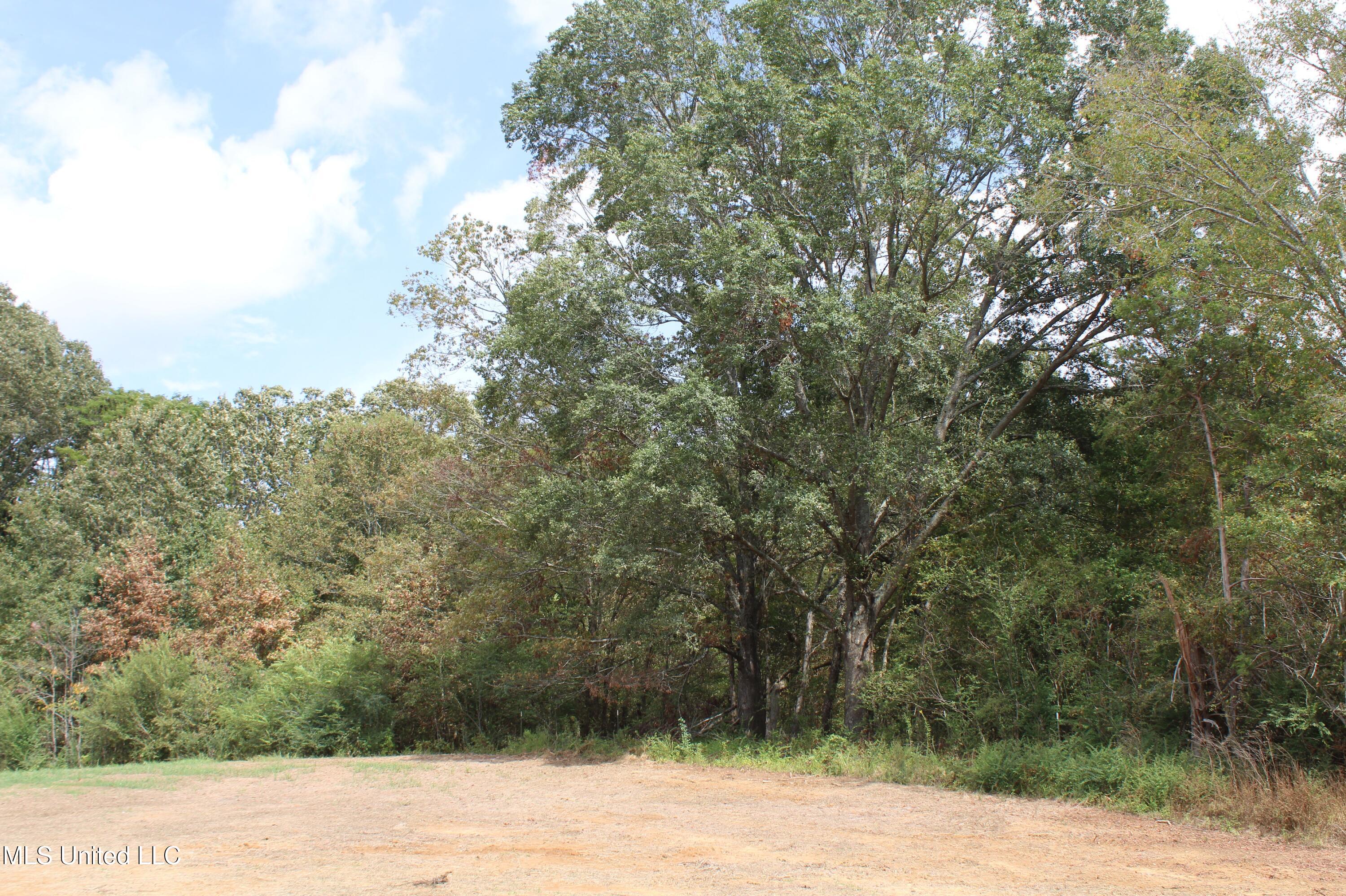 2 Hickory Hollow Road Coldwater, MS 38618 - Photo 70 of 70 IMG_6603