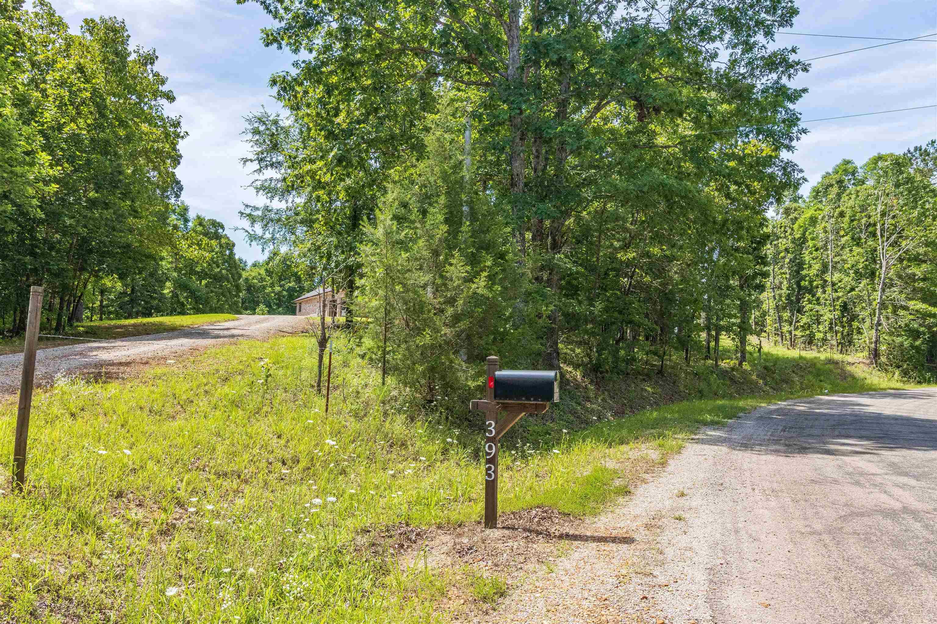 393 Falcon New Bethel Road Selmer, TN 38375 - Photo 35 of 38