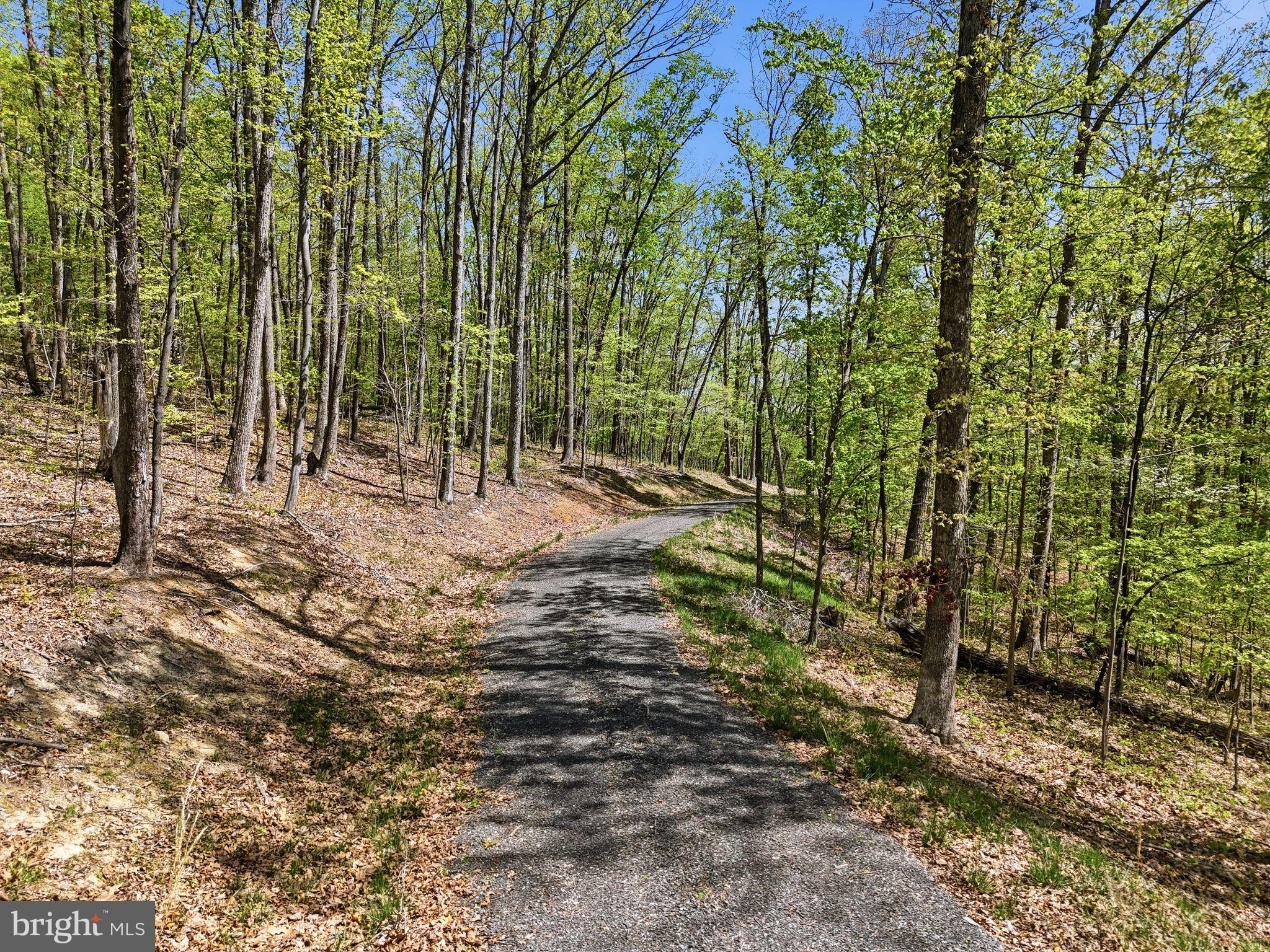 Lot 2 Obannons Mill Road Boston, VA 22713 - Photo 12 of 14