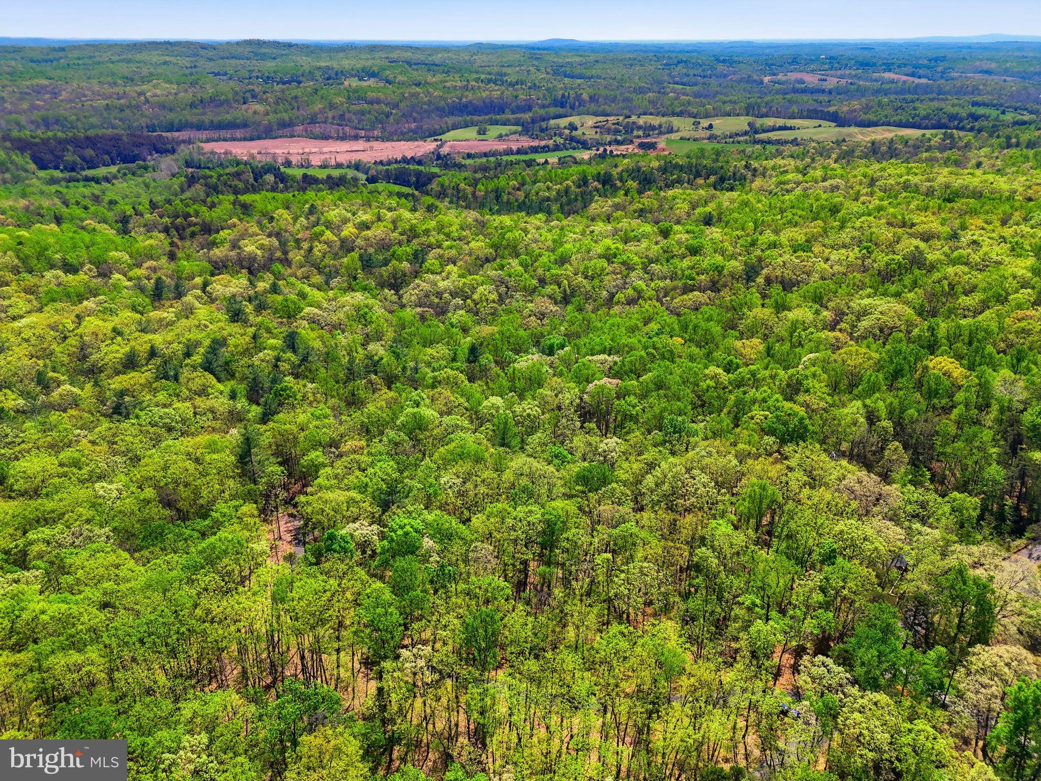 Lot 2 Obannons Mill Road Boston, VA 22713 - Photo 6 of 14