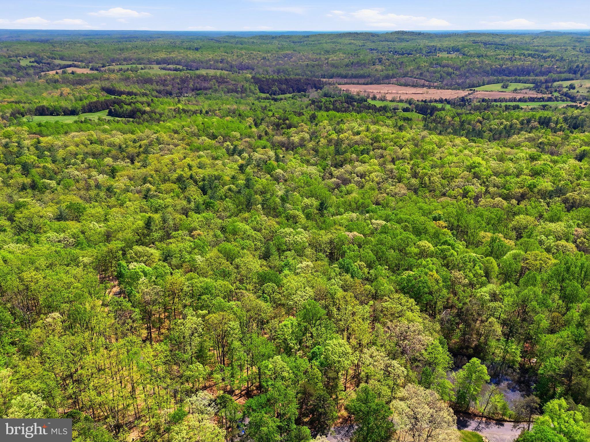 Lot 2 Obannons Mill Road Boston, VA 22713 - Photo 8 of 14