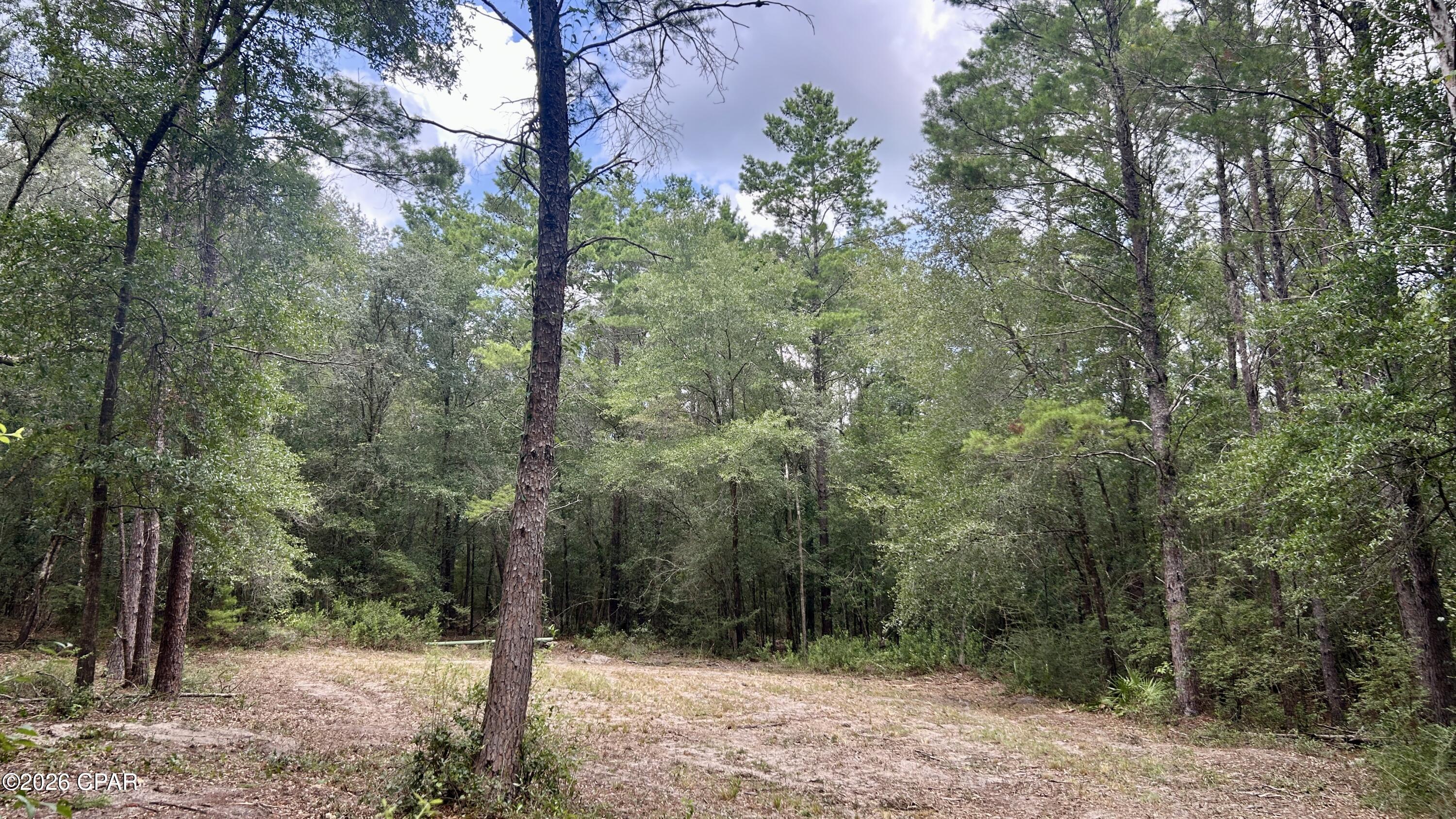 A Trawick Creek Road Holt, FL 32564 - Photo 18 of 33 Gallery Image 18