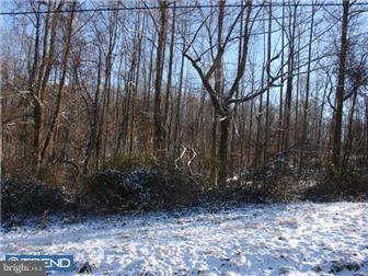 Lot 6 Chapel Hill Road Sinking Spring, PA 19608 - Photo 3 of 10