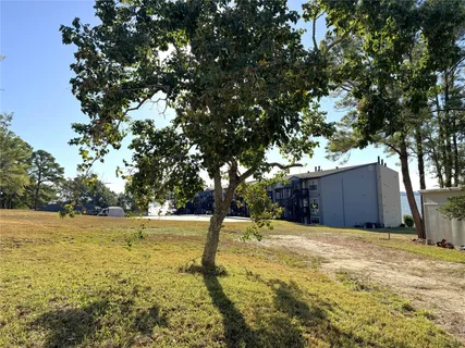 a view of backyard with large trees