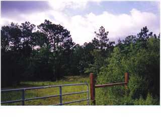 0 Davidson Road DeFuniak Springs, FL 32433 - Photo 1 of 1 Primary Photo